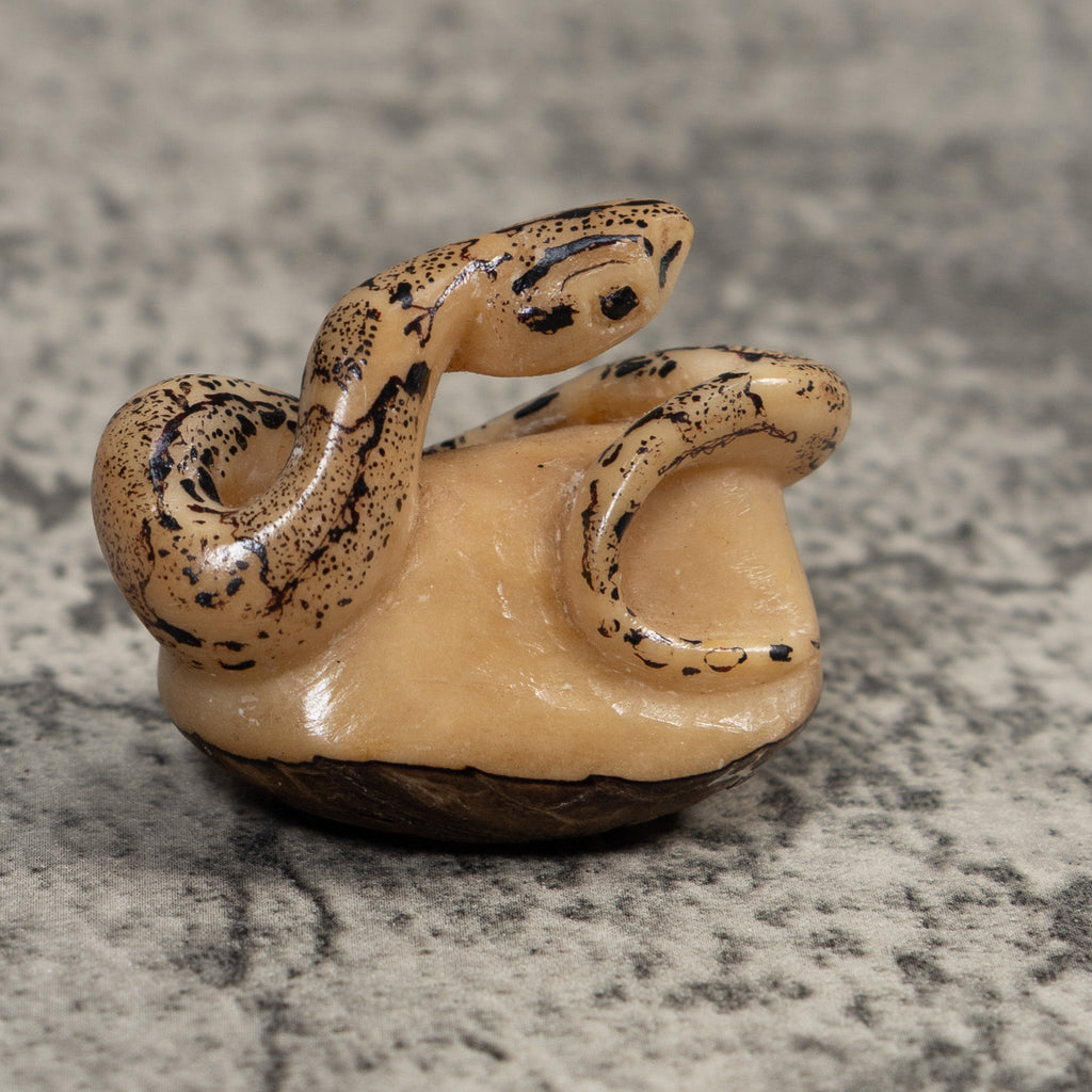 Black And White Snake Boa Tagua Carving