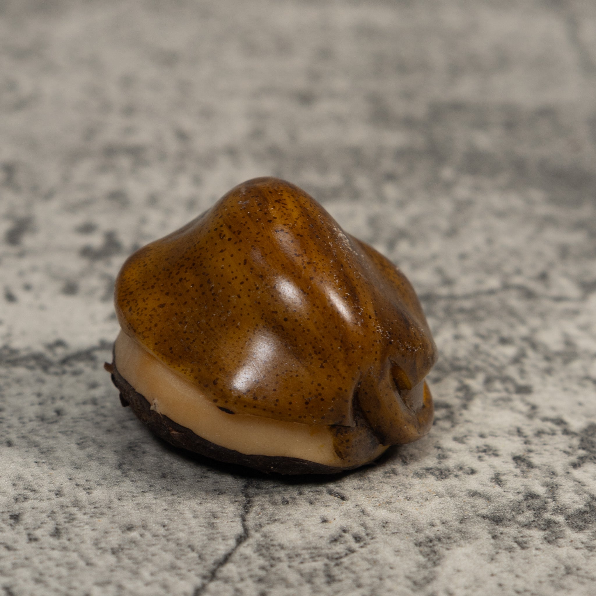 Vintage Ocean Stingray Tagua Carving