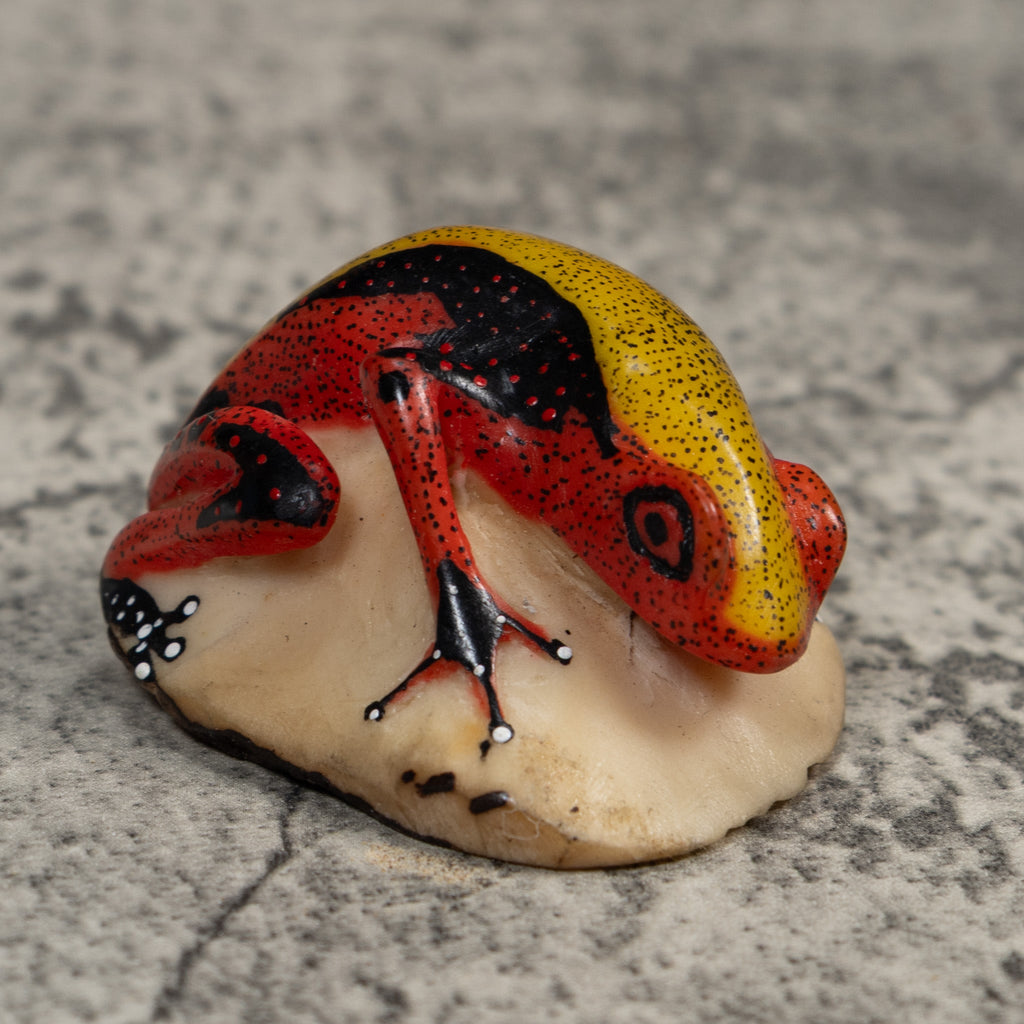 Poison Dart Frog Tagua Carving