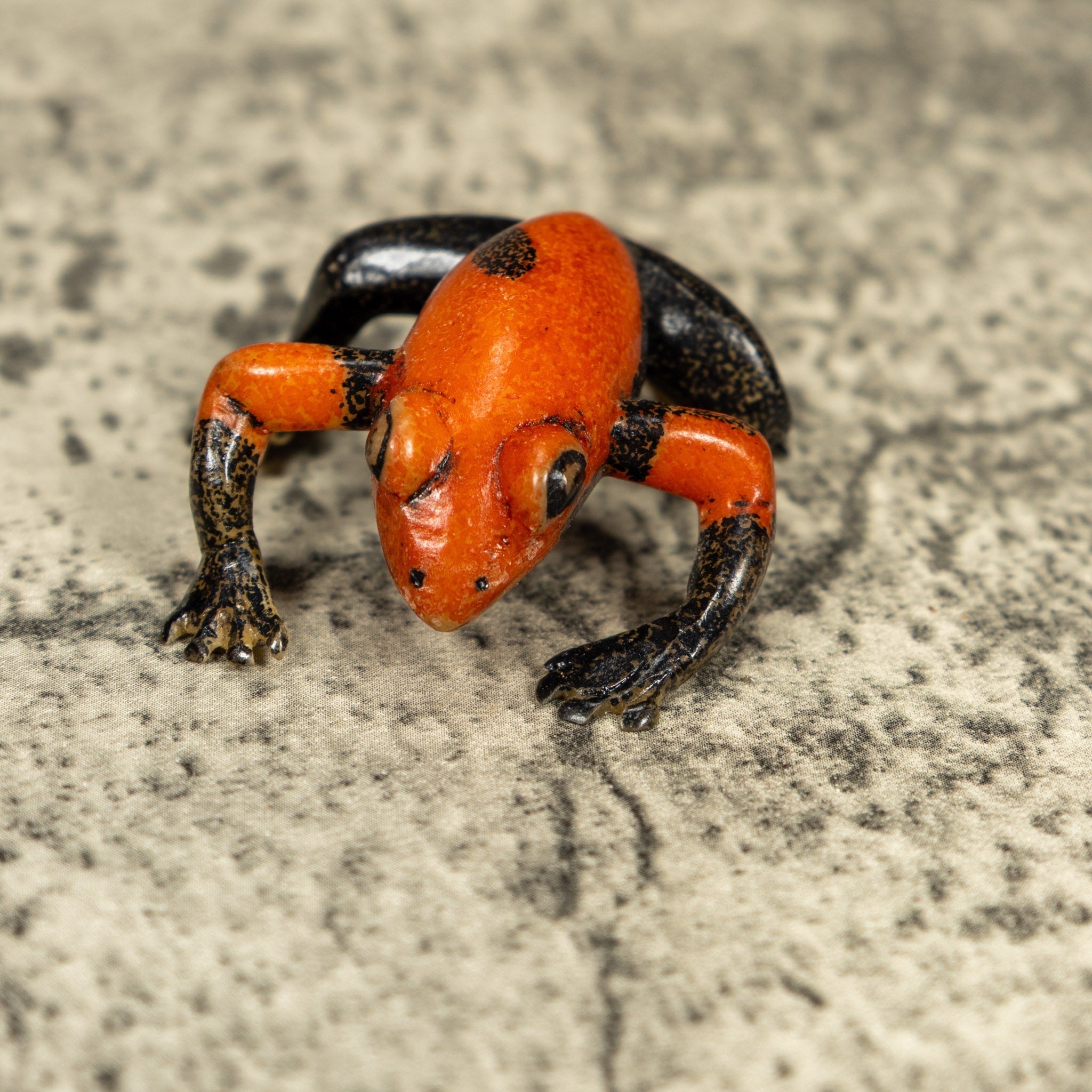 Free Standing Black And Orange Frog Tagua Carving