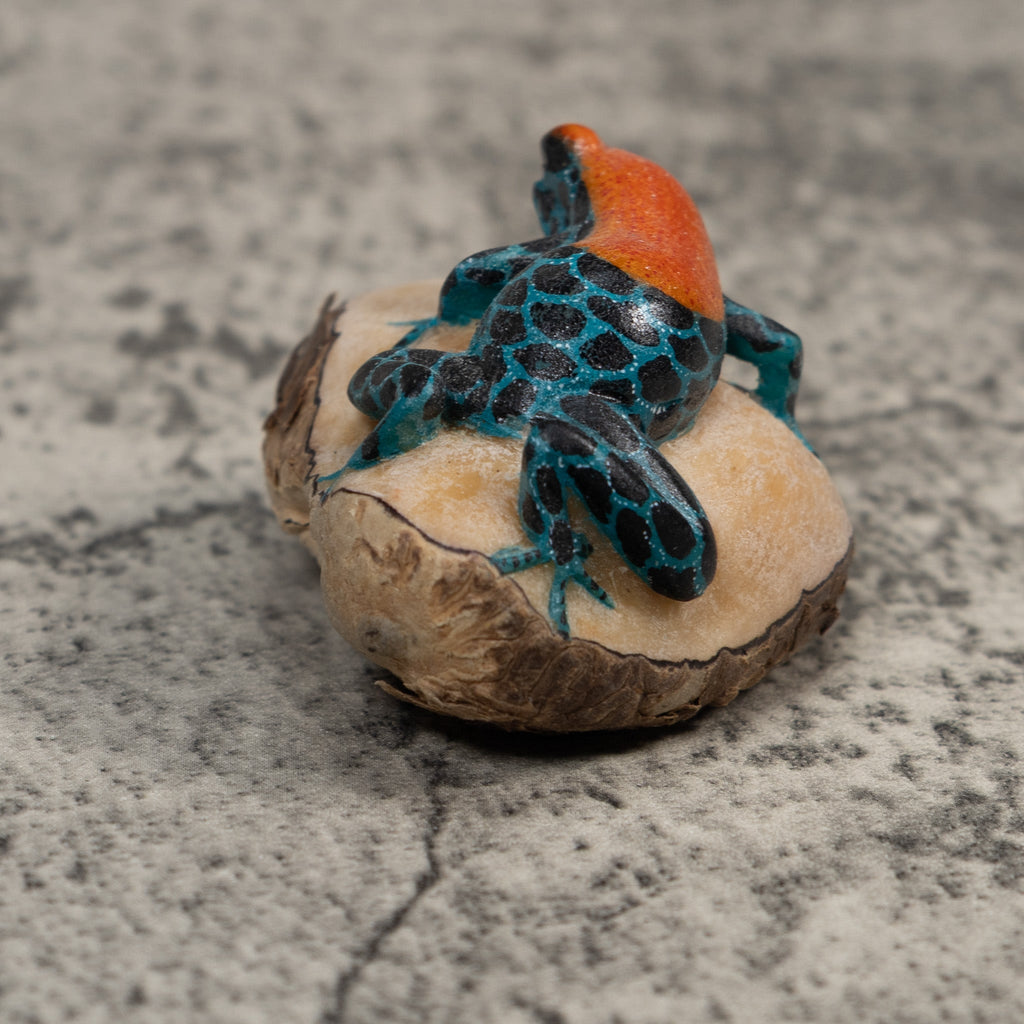 Blue And Orange Poison Dart Frog Tagua Carving