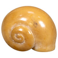 Natural White Seashell Tagua Carving