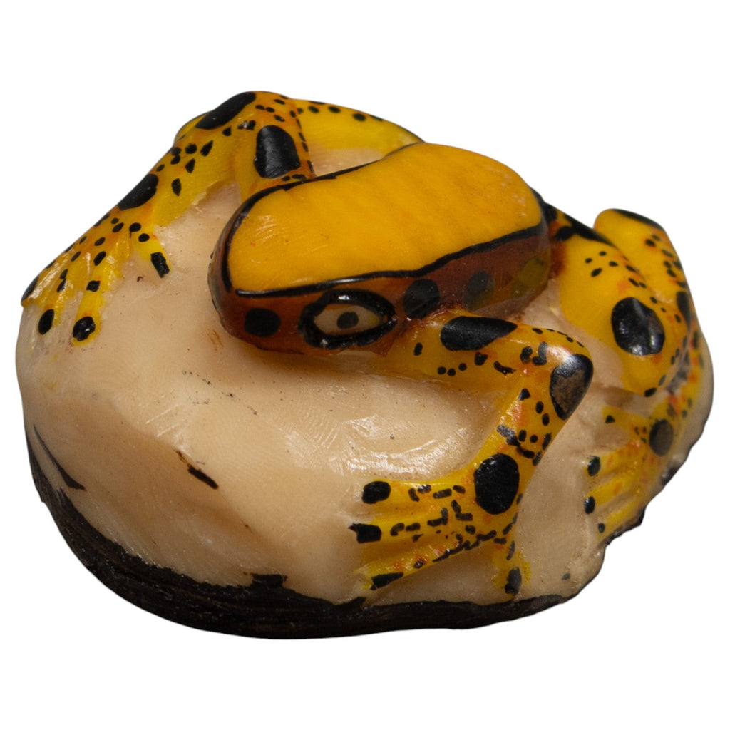 Poison Dart Frog Tagua Carving