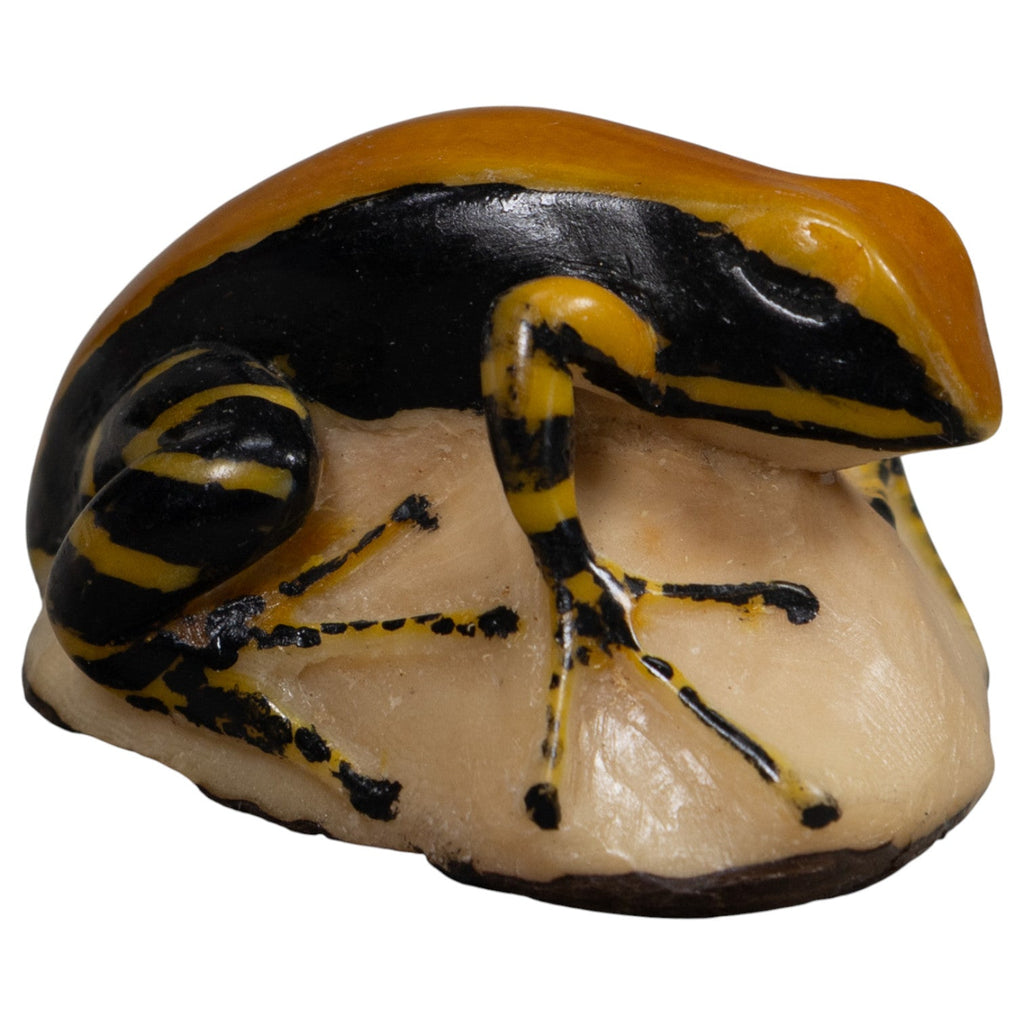 Black And Gold Frog Tagua Carving