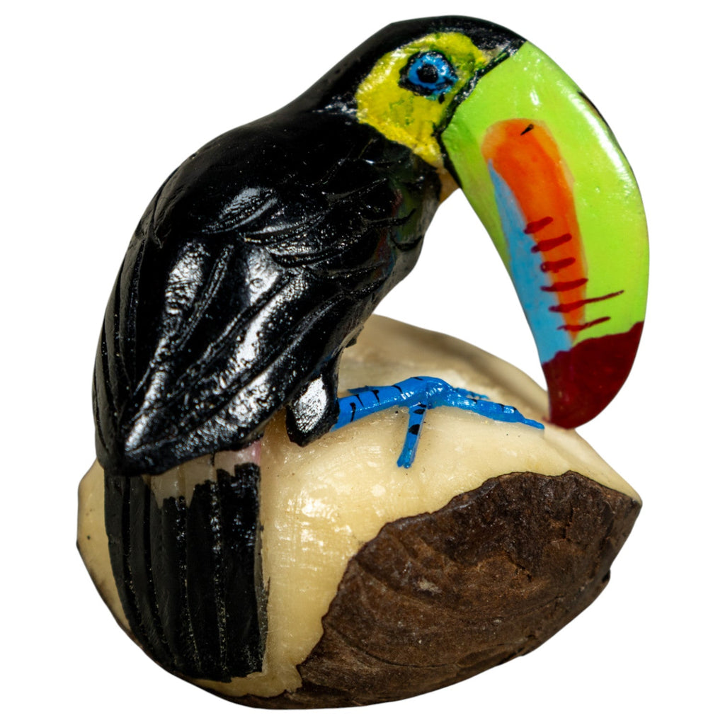 Toucan Parrot Bird Tagua Carving