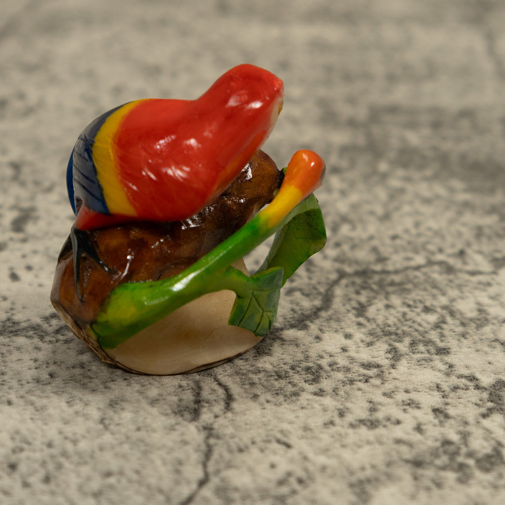 Macaw Parrot Bird Tagua Carving