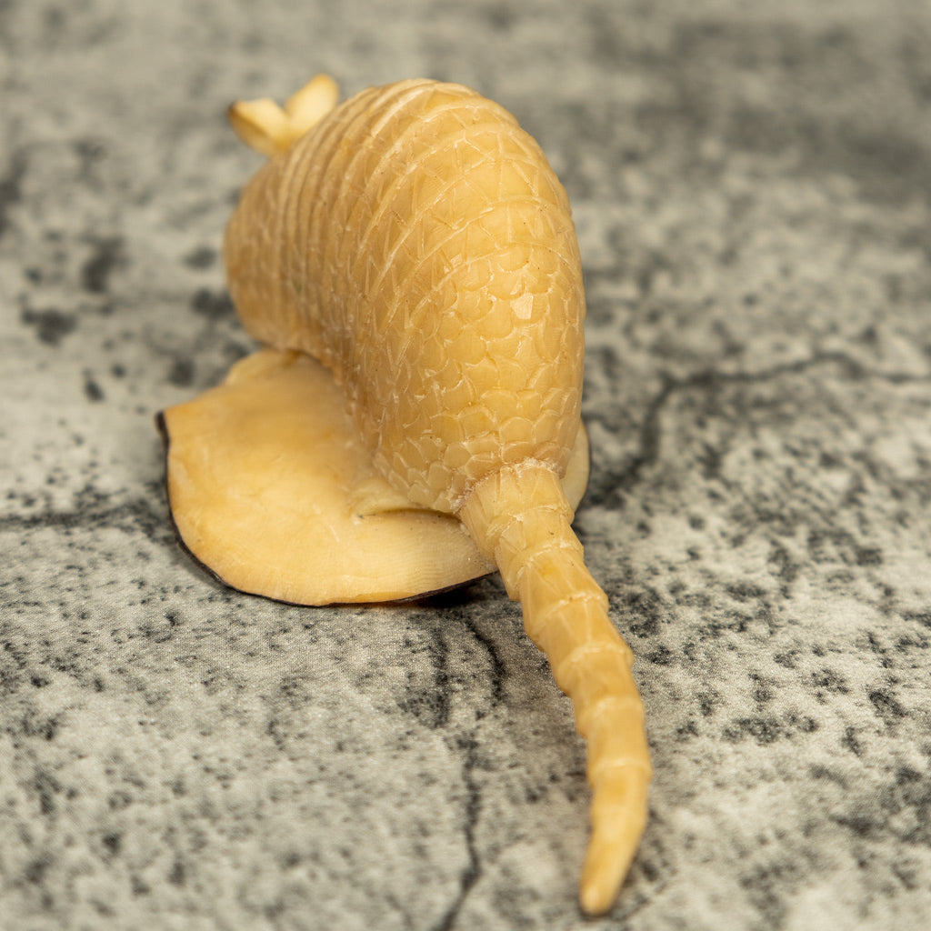 Natural White Armadillo Tagua Carving