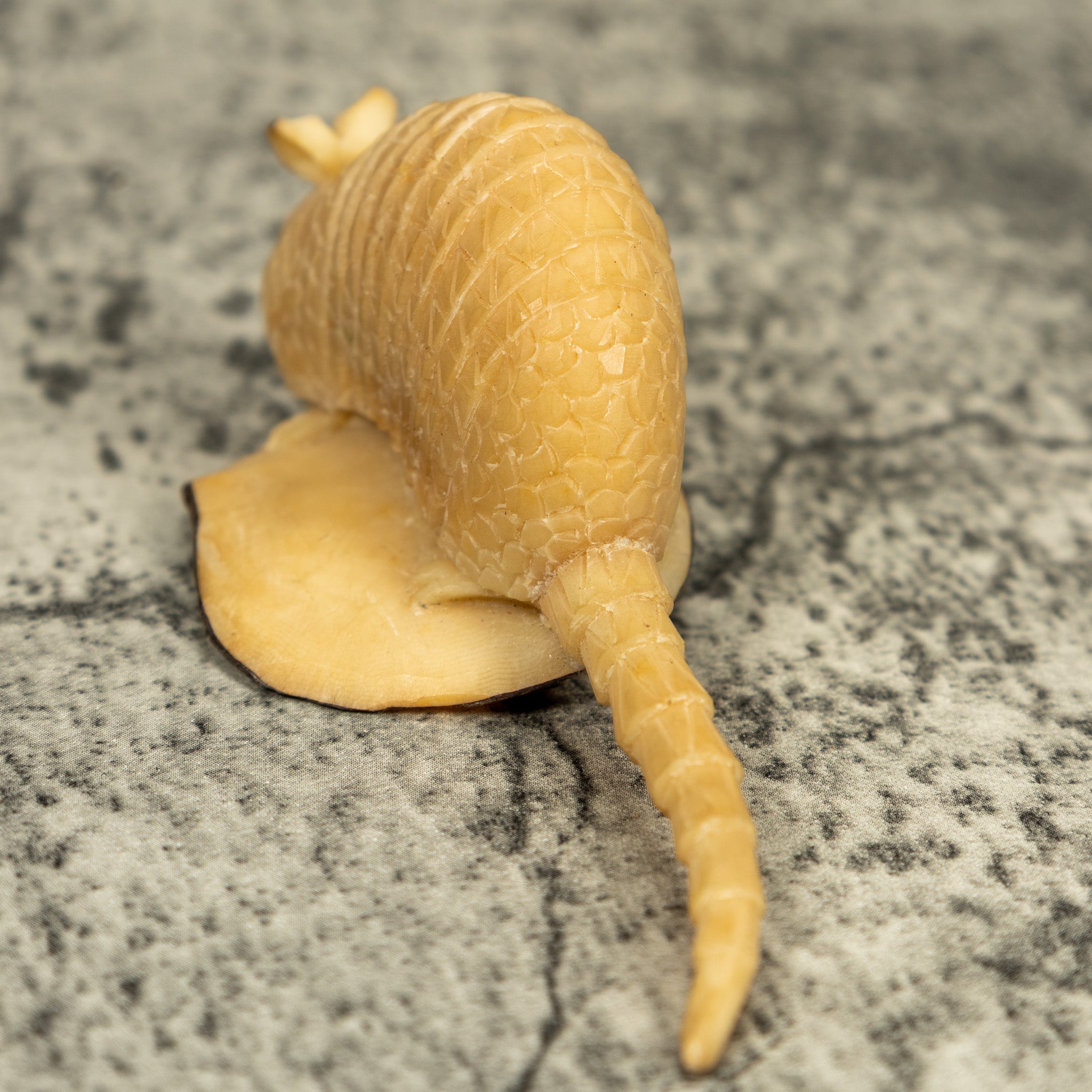Natural White Armadillo Tagua Carving