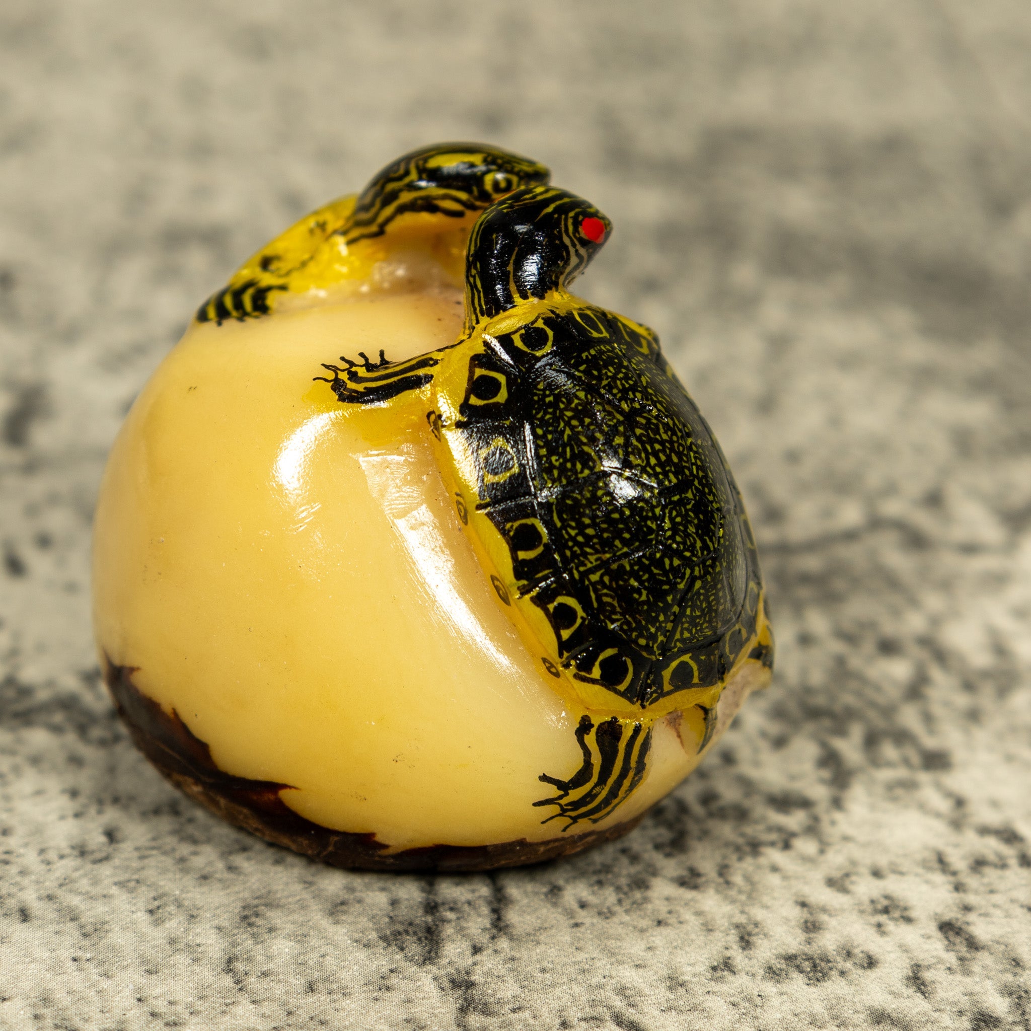 Double (2) Tortoise Turtle Tagua Carving
