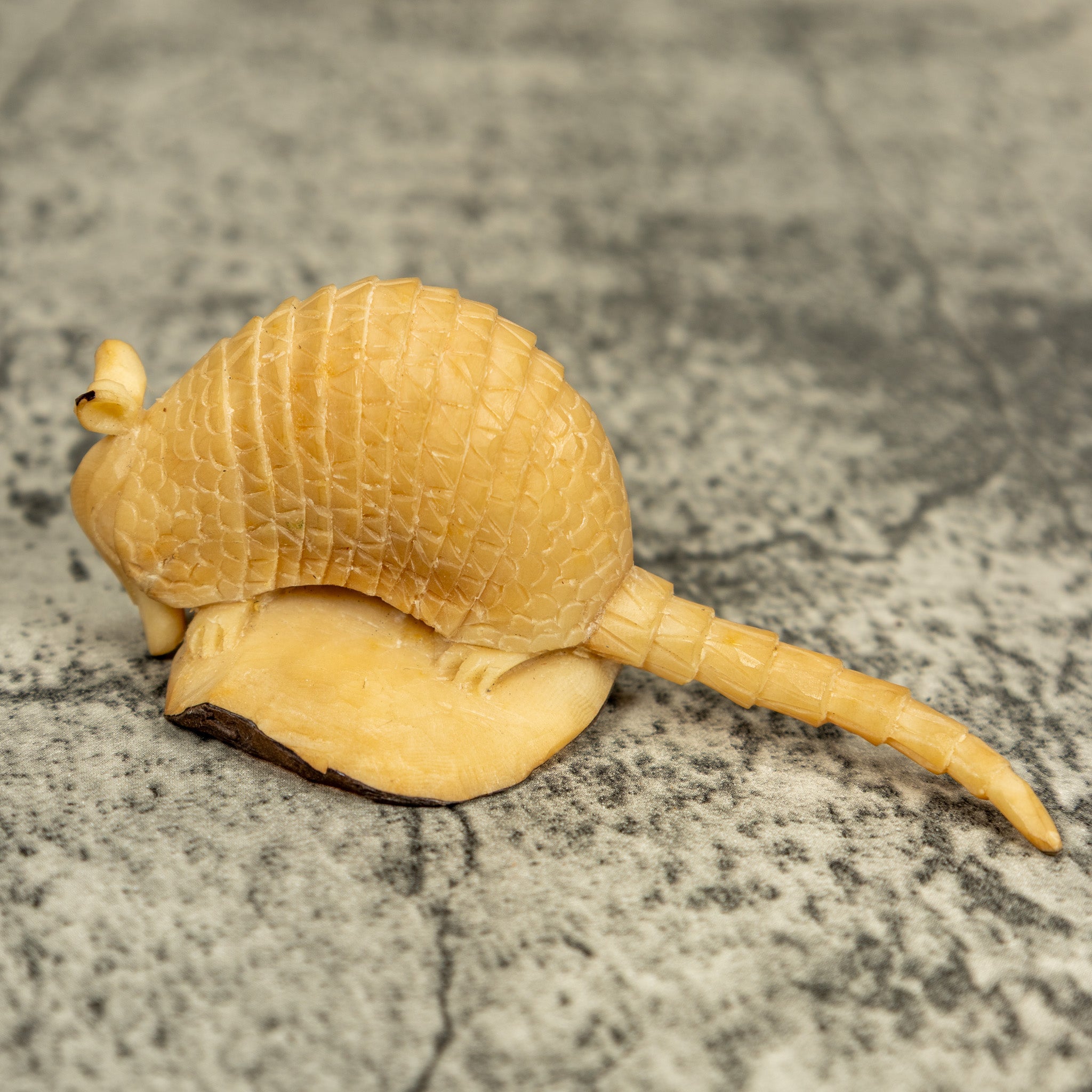Natural White Armadillo Tagua Carving