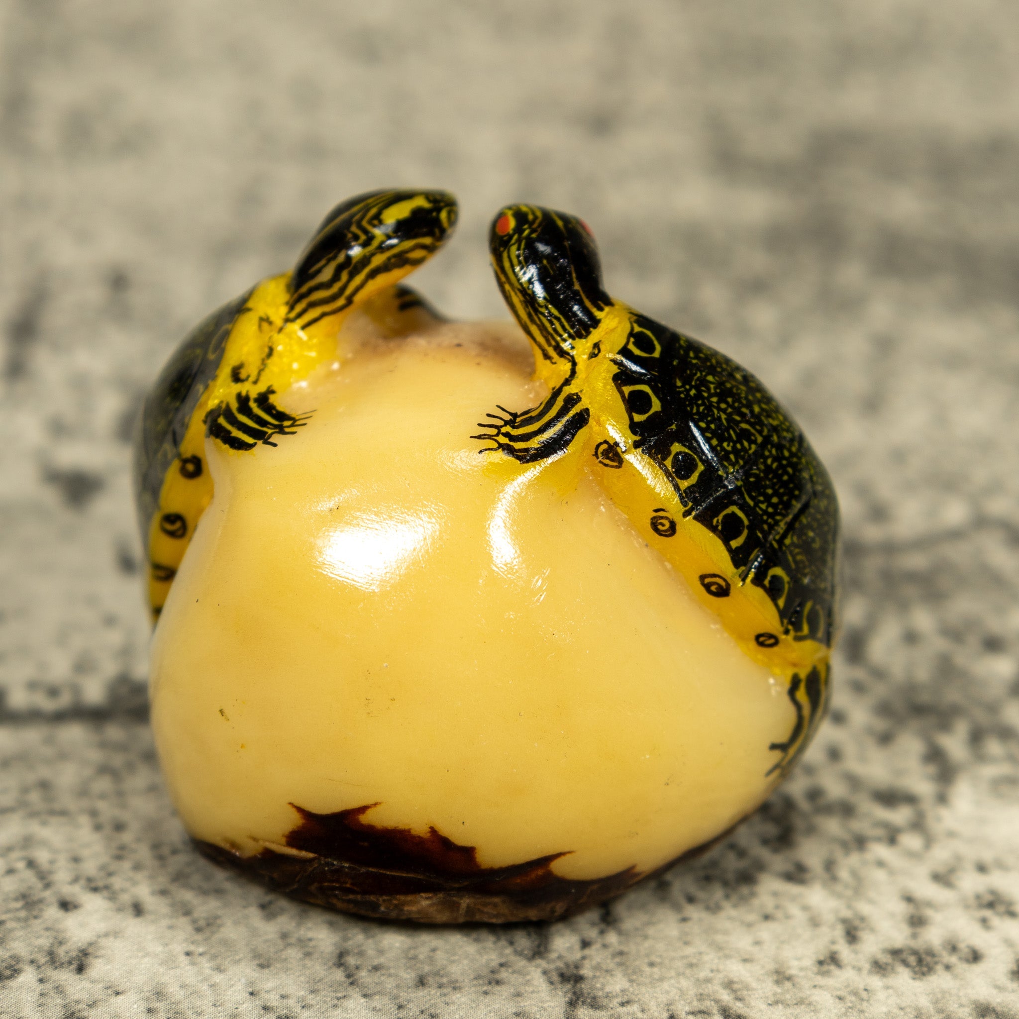 Double (2) Tortoise Turtle Tagua Carving