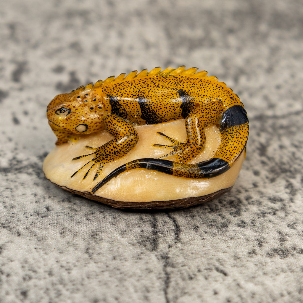 Bronze And Black Iguana Lizard Tagua Carving