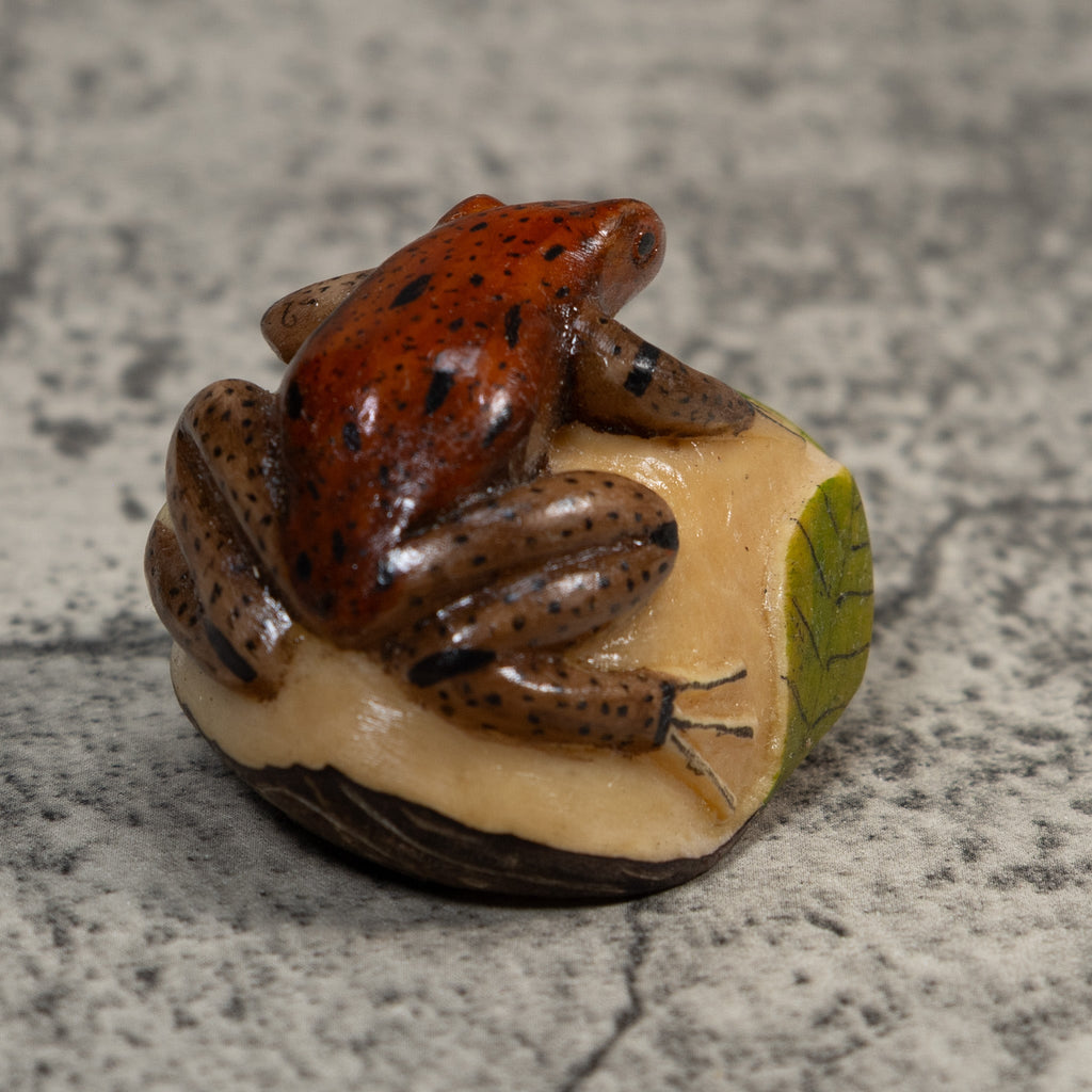 Brown And Black Poison Dart Frog Tagua Carving