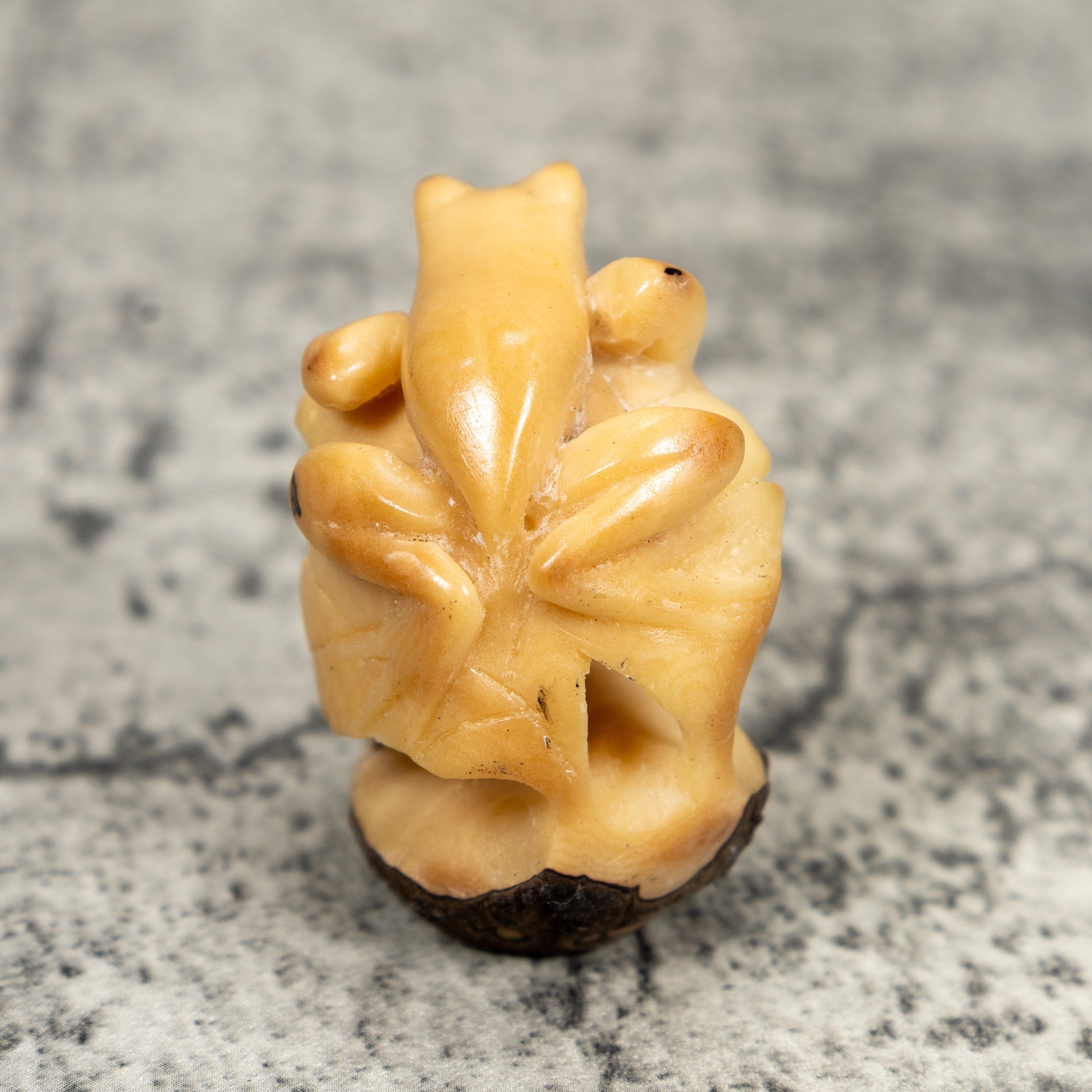 Natural White Undercut Frog And Pedestal Tagua Carving