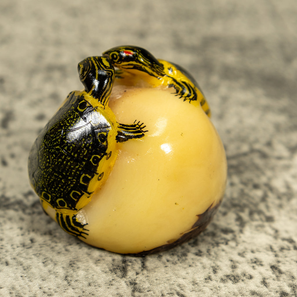 Double (2) Tortoise Turtle Tagua Carving