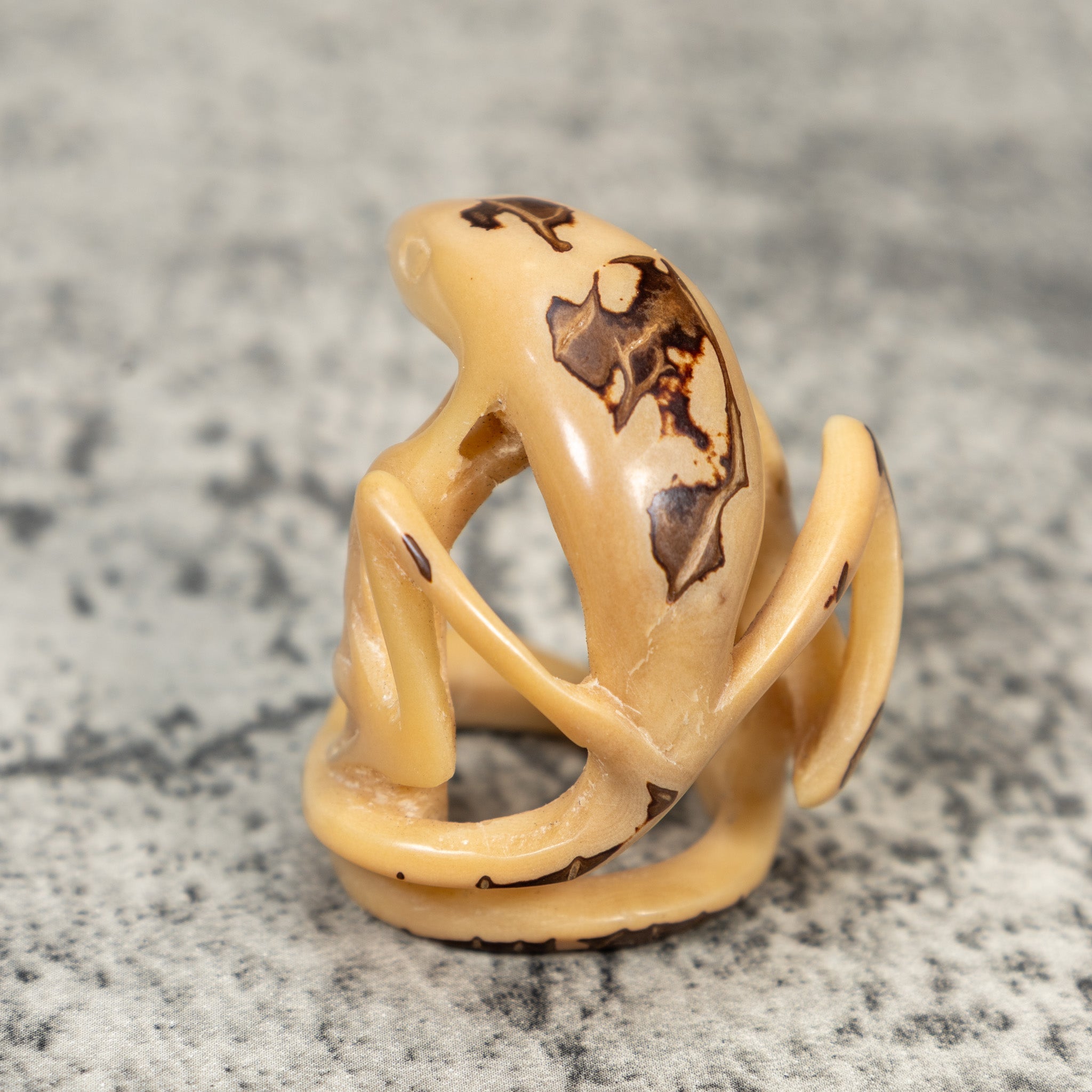 Natural White Gecko Lizard Tagua Carving