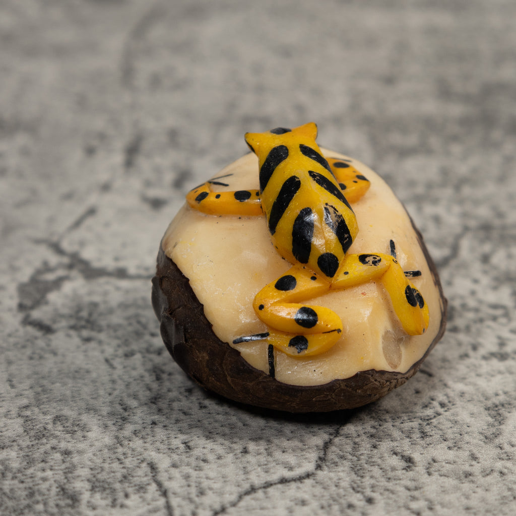 Black And Gold Poison Dart Frog Tagua Carving