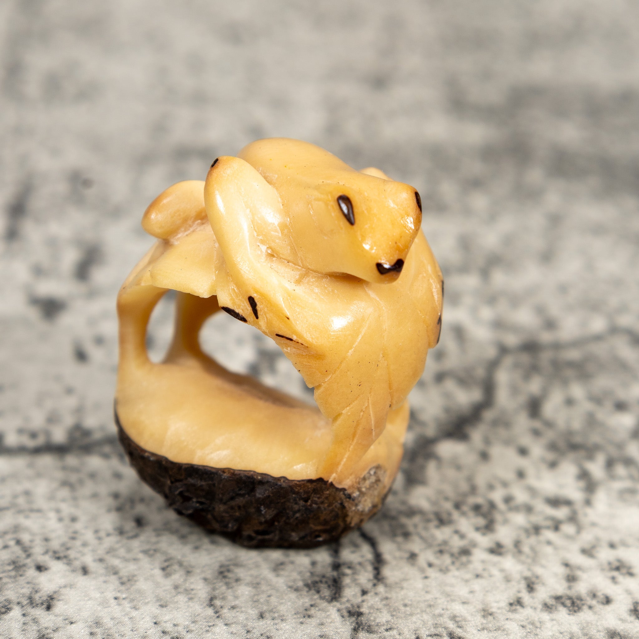 Natural White Undercut Frog And Pedestal Tagua Carving