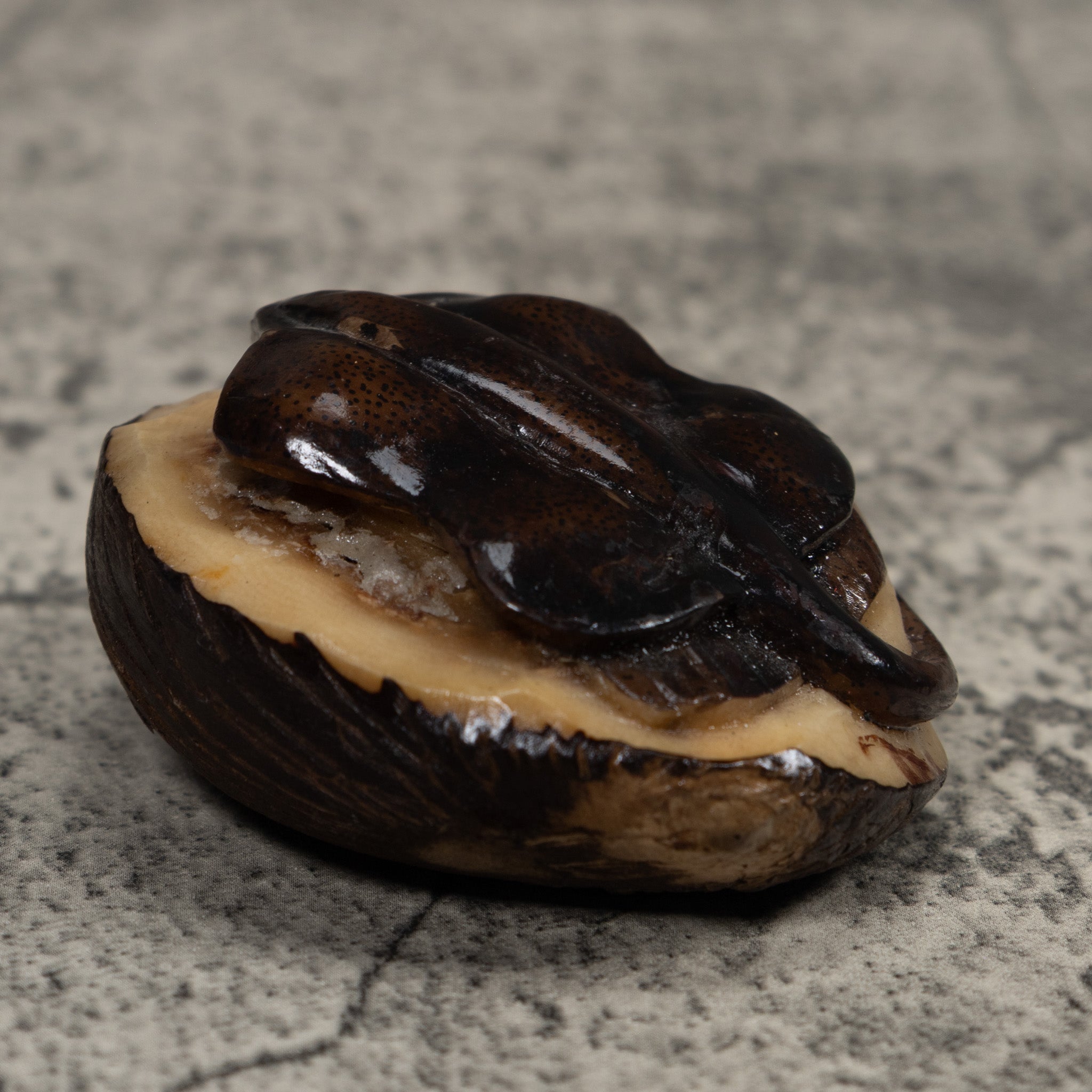 Vintage Stingray Tagua Carving