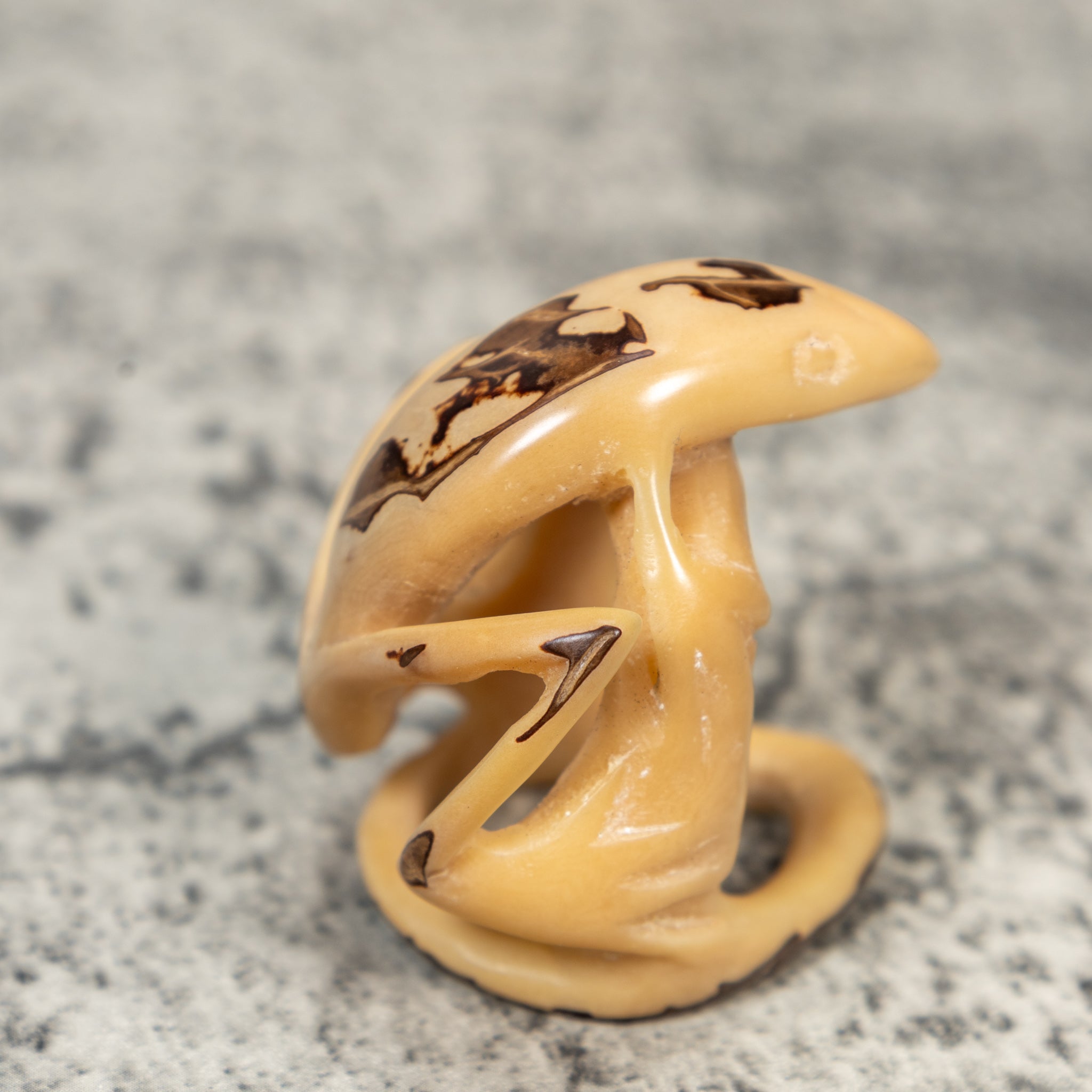 Natural White Gecko Lizard Tagua Carving