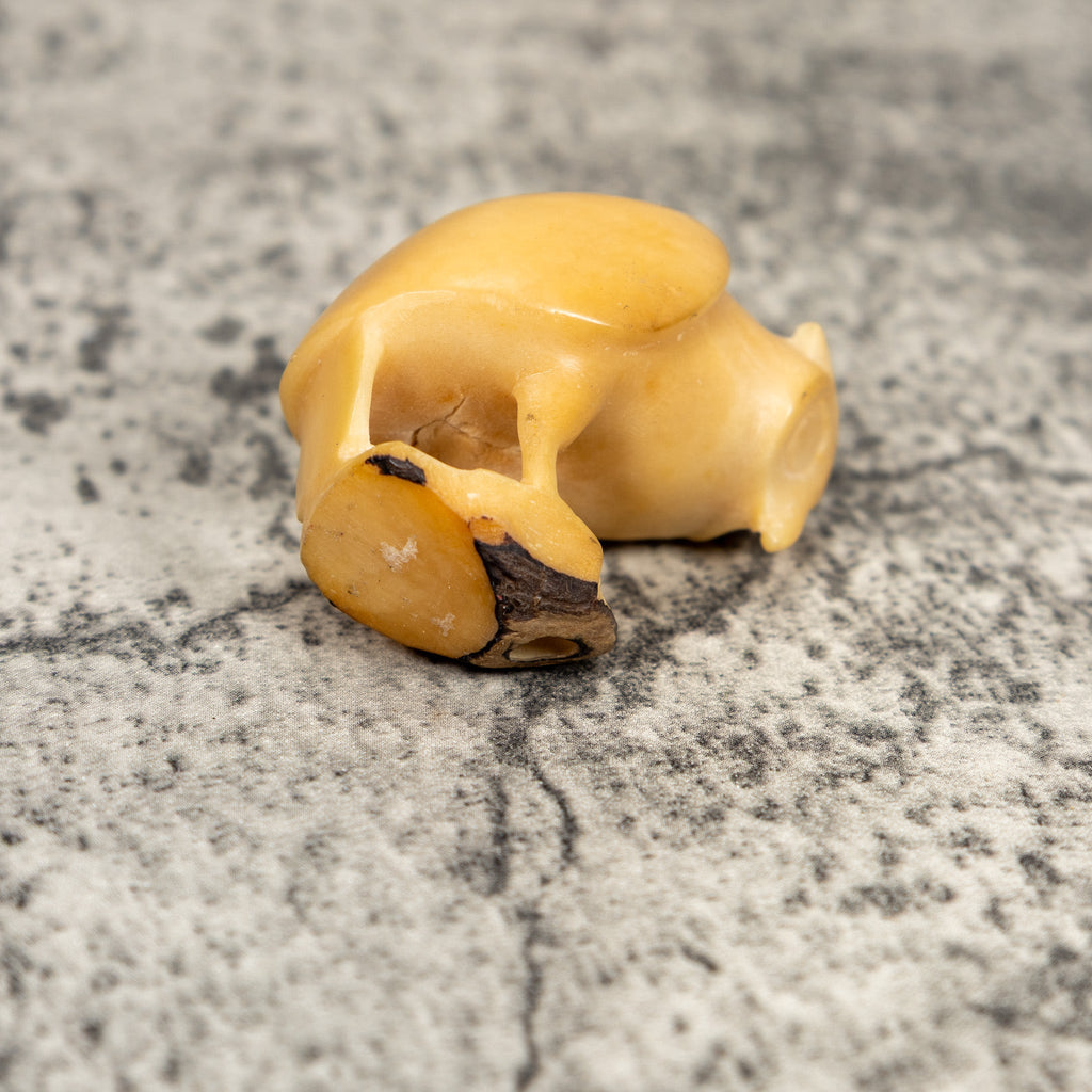Natural White Owl Bird Tagua Carving