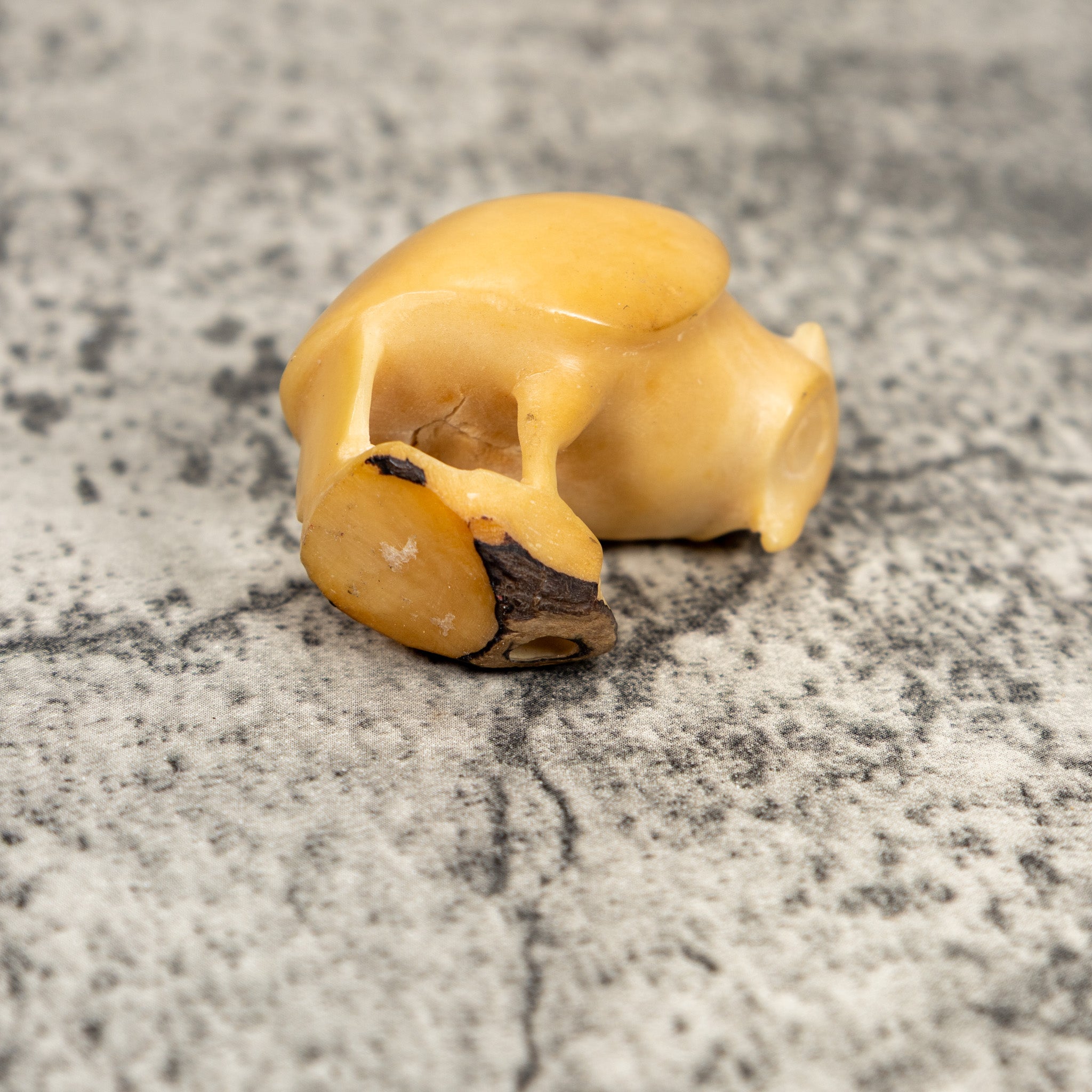 Natural White Owl Bird Tagua Carving