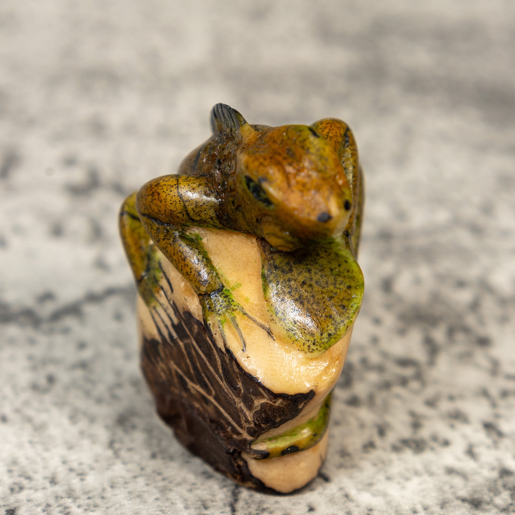 Brown And Black Iguana Lizard Tagua Carving