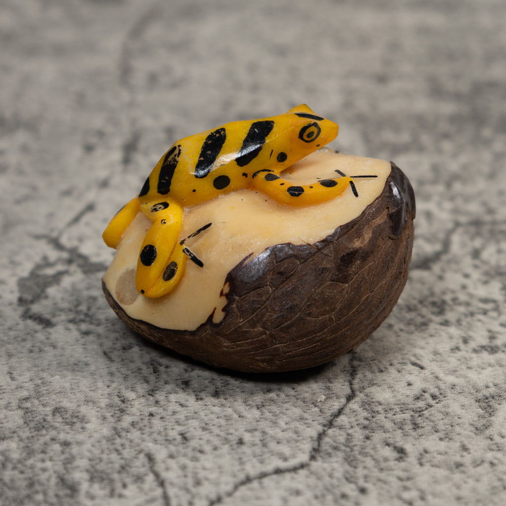 Black And Gold Poison Dart Frog Tagua Carving