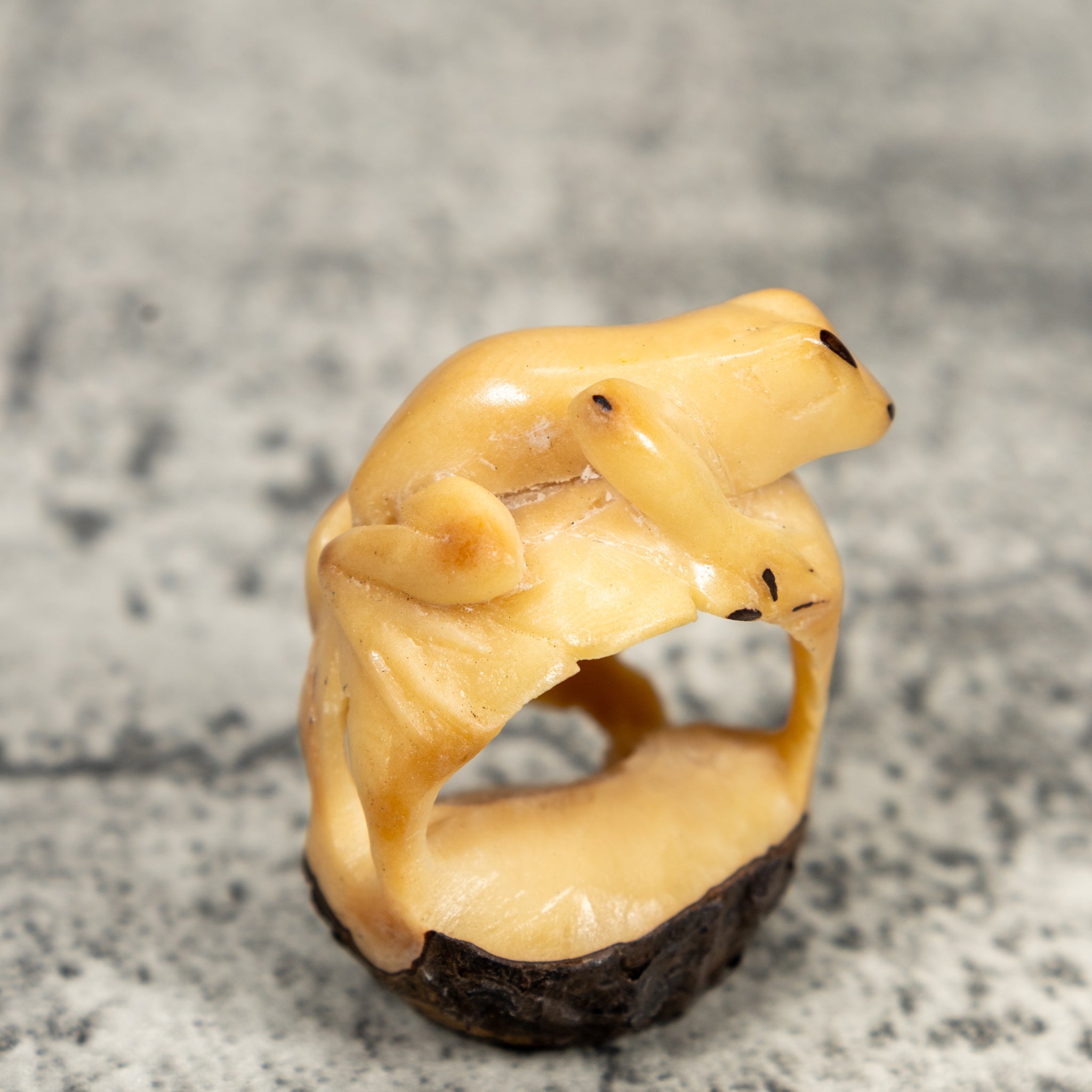 Natural White Undercut Frog And Pedestal Tagua Carving