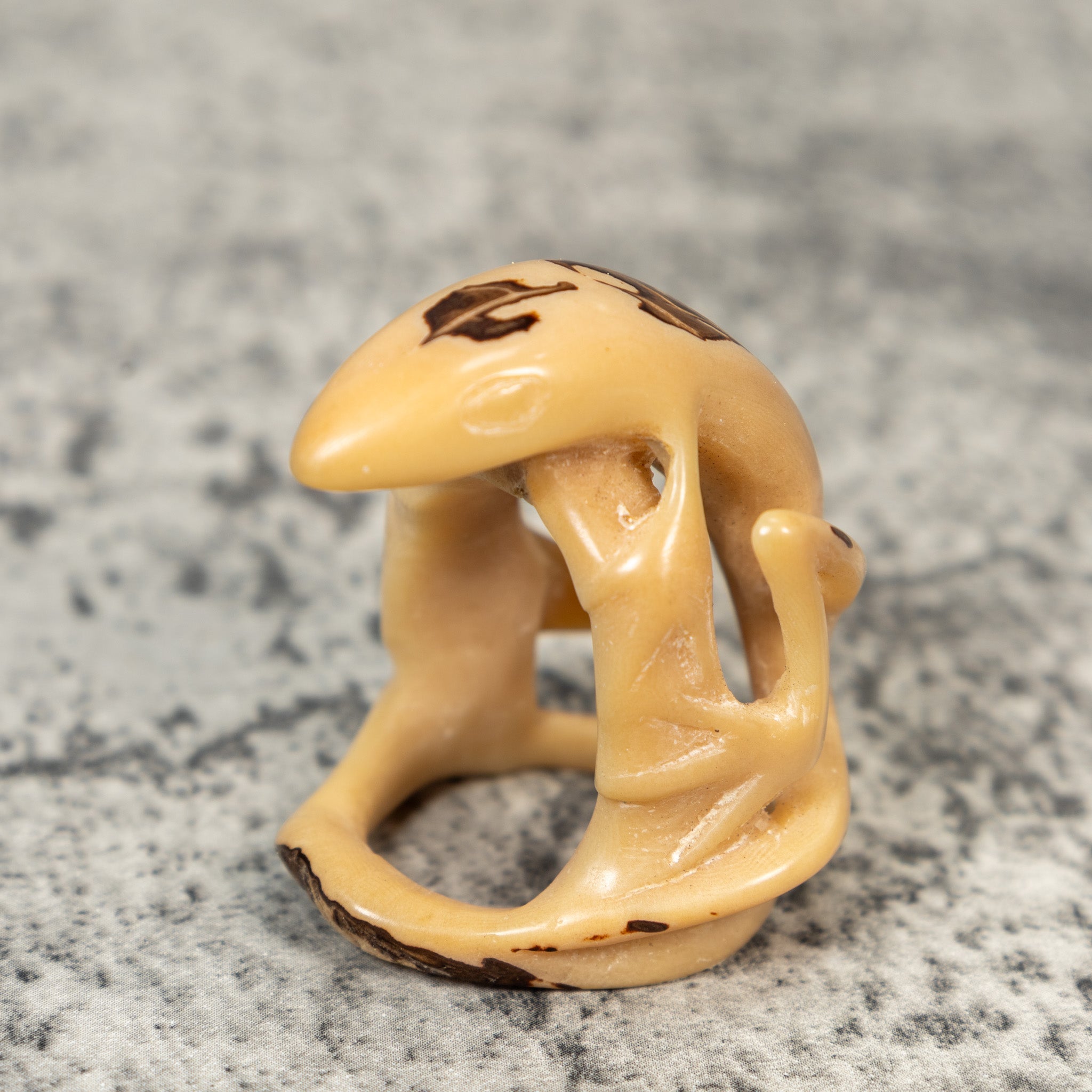 Natural White Gecko Lizard Tagua Carving