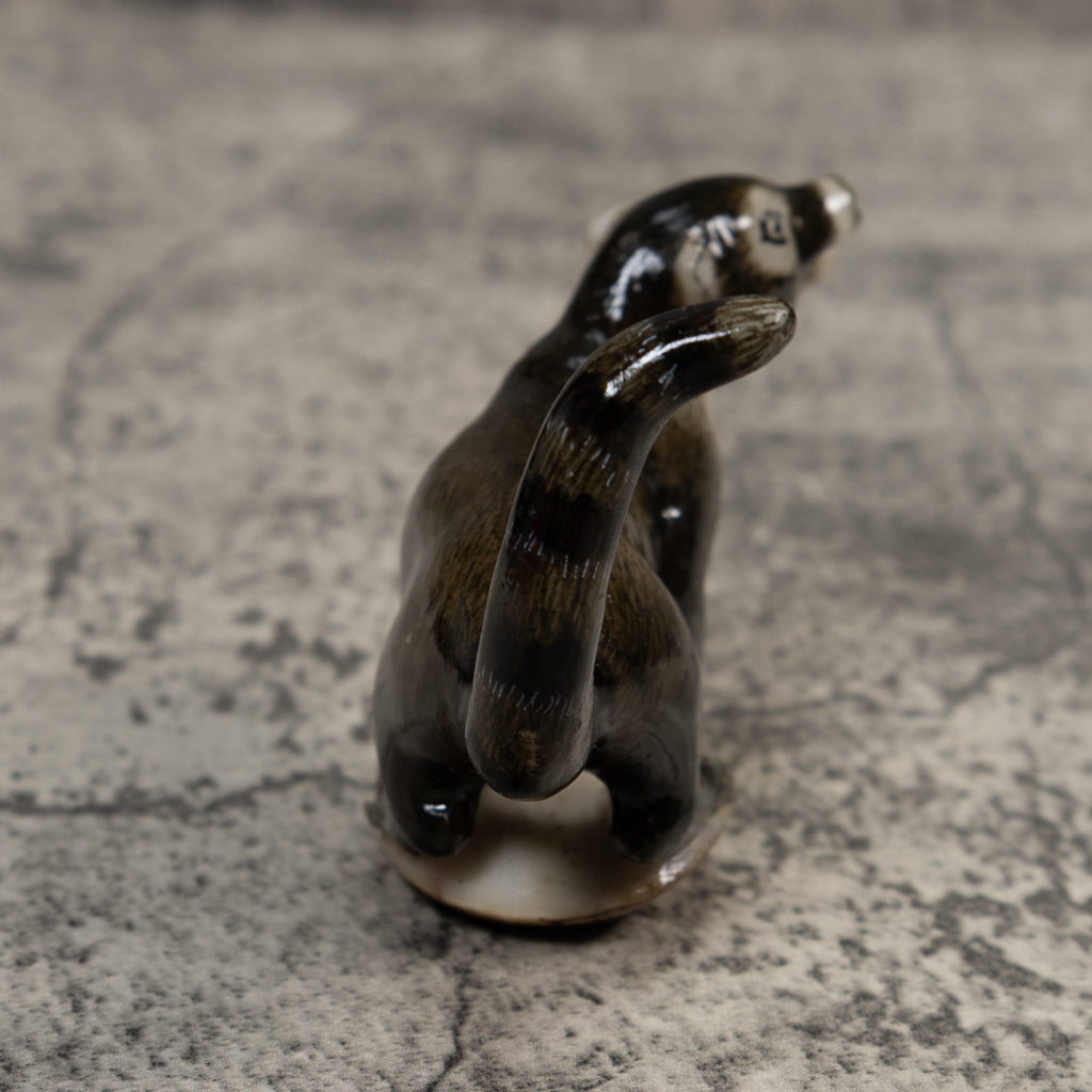 Gorgeous Coatimundi Tagua Carving