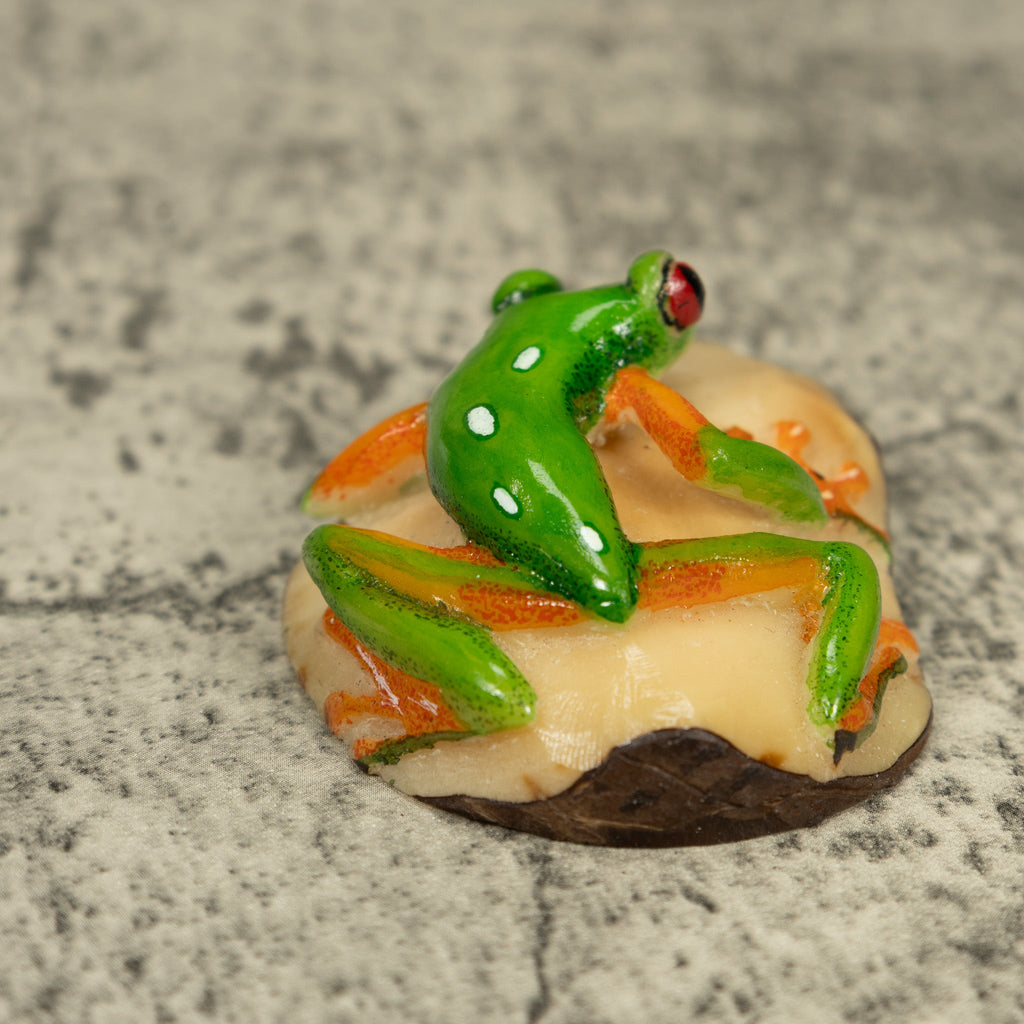 Red-Eye Tree Frog Tagua Carving