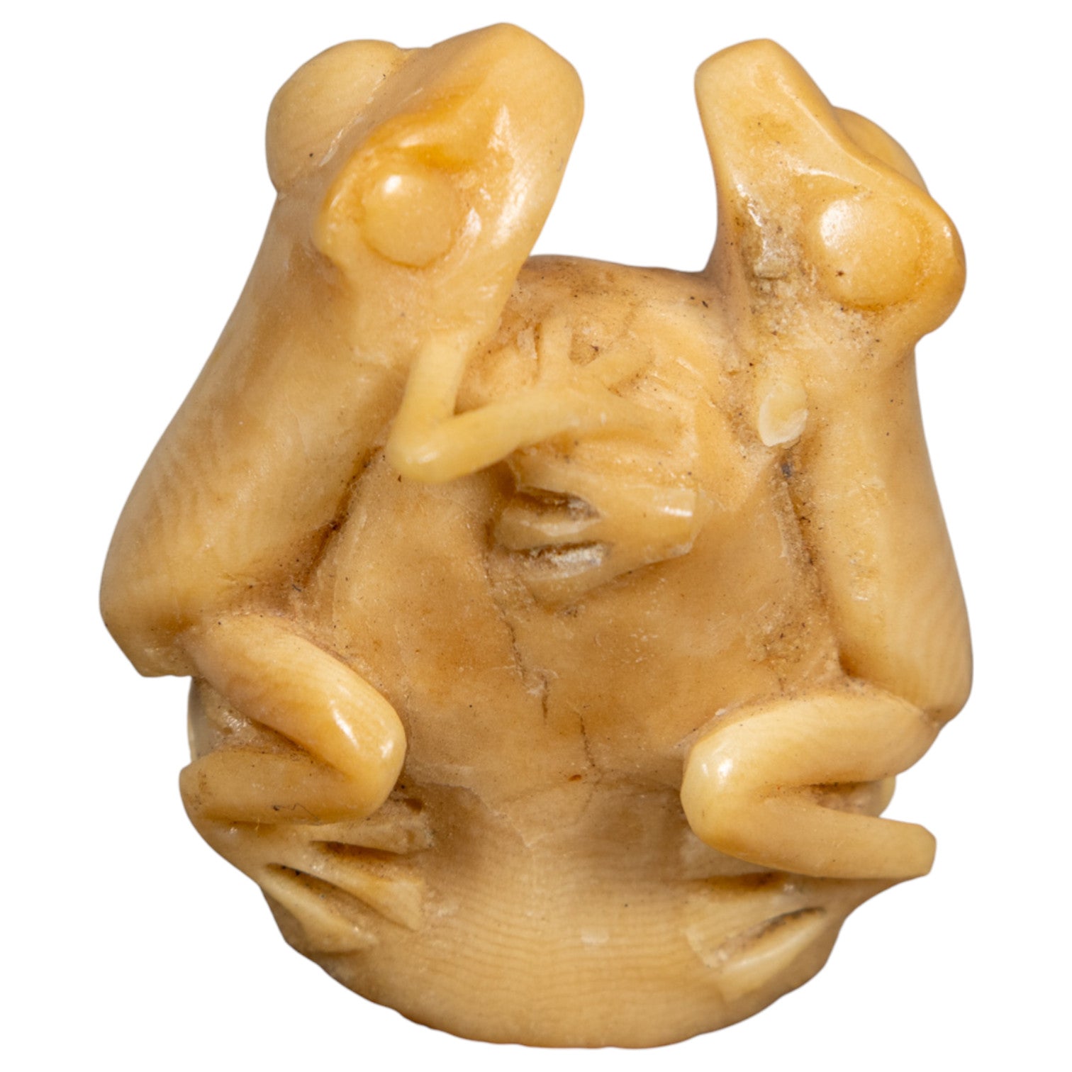 Vintage Natural White Dyed Double Frog Tagua Carving