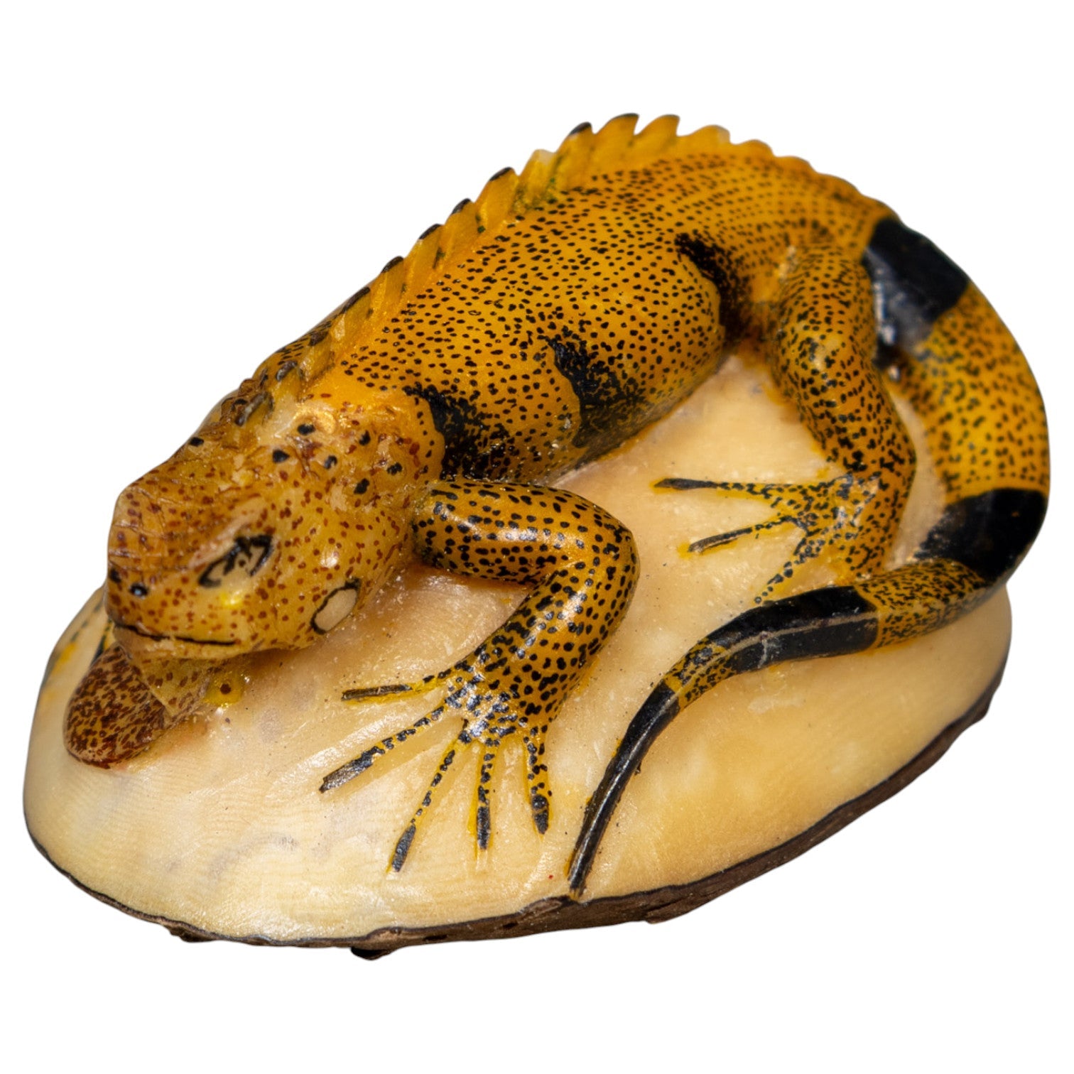 Bronze And Black Iguana Lizard Tagua Carving