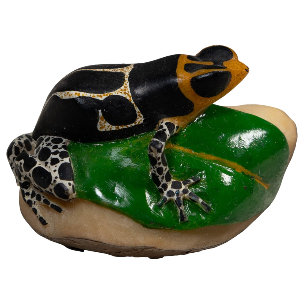 White Orange And Black Poison Dart Frog Tagua Carving