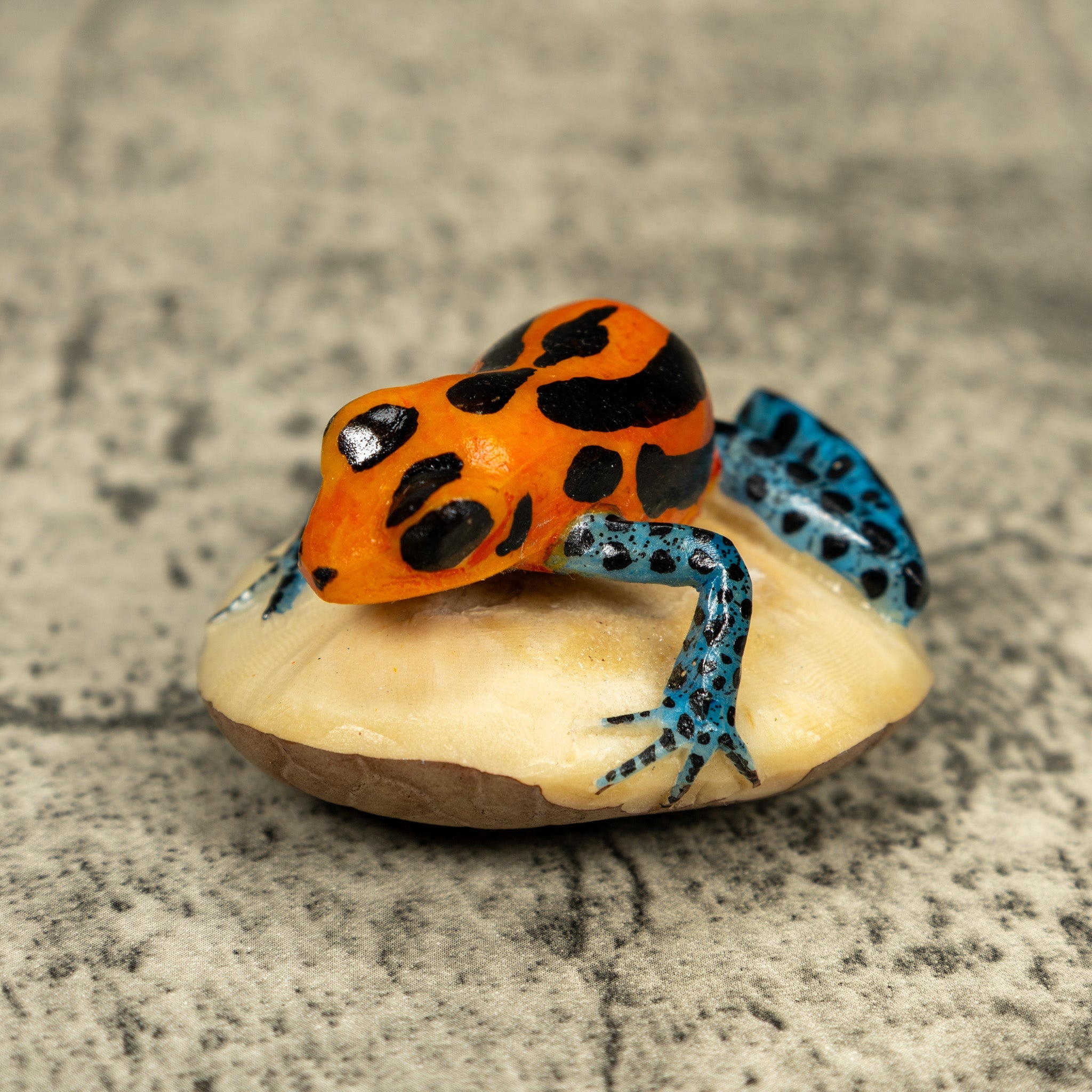 Blue Orange And Black Poison Dart Frog Tagua Carving