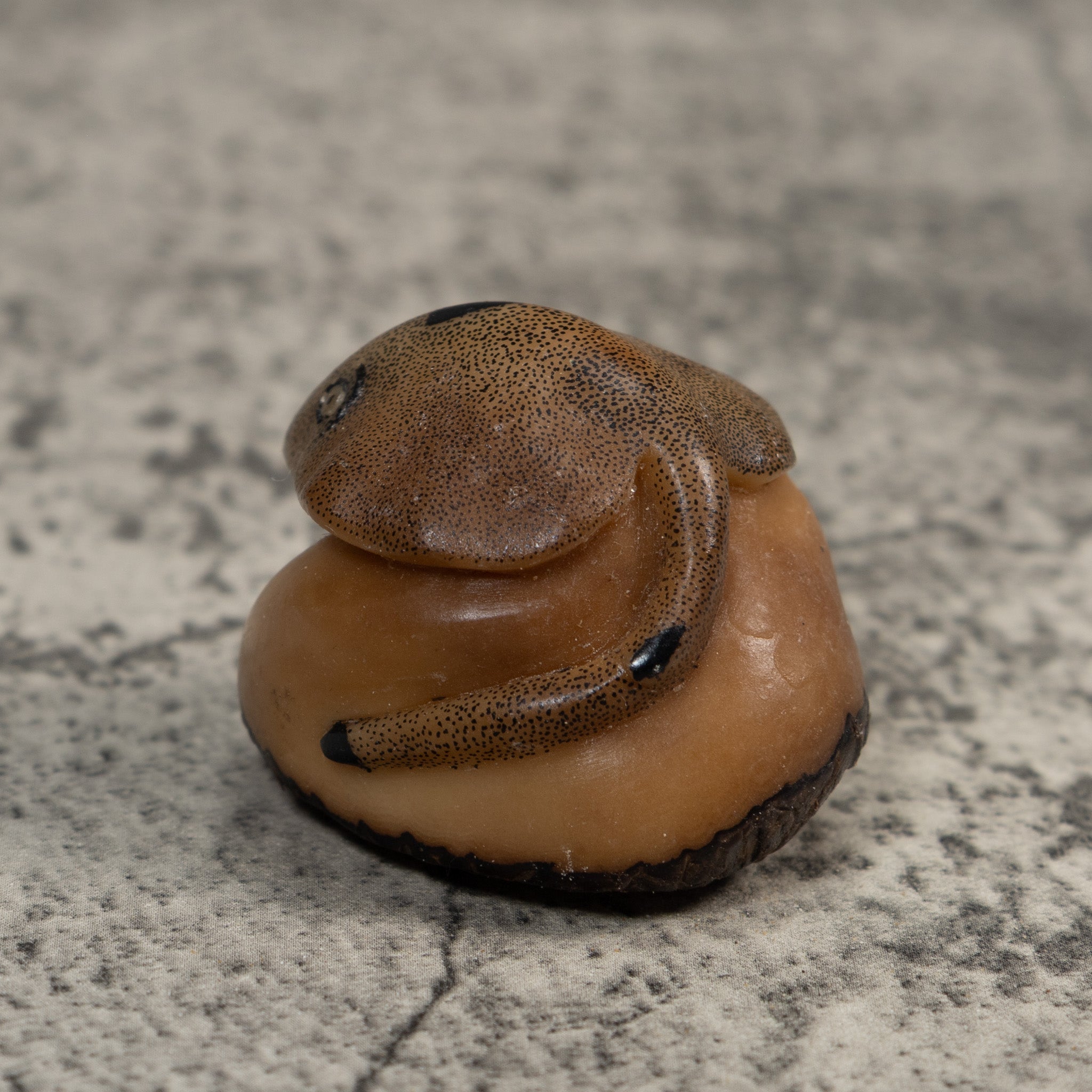 Vintage Ocean Stingray Tagua Carving
