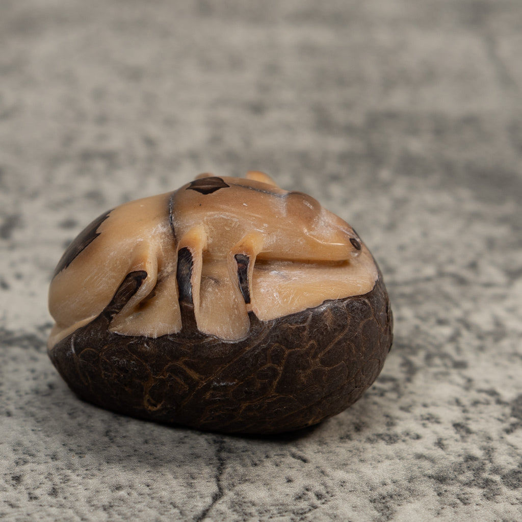 Vintage Natural White With Shuck Insect Carving