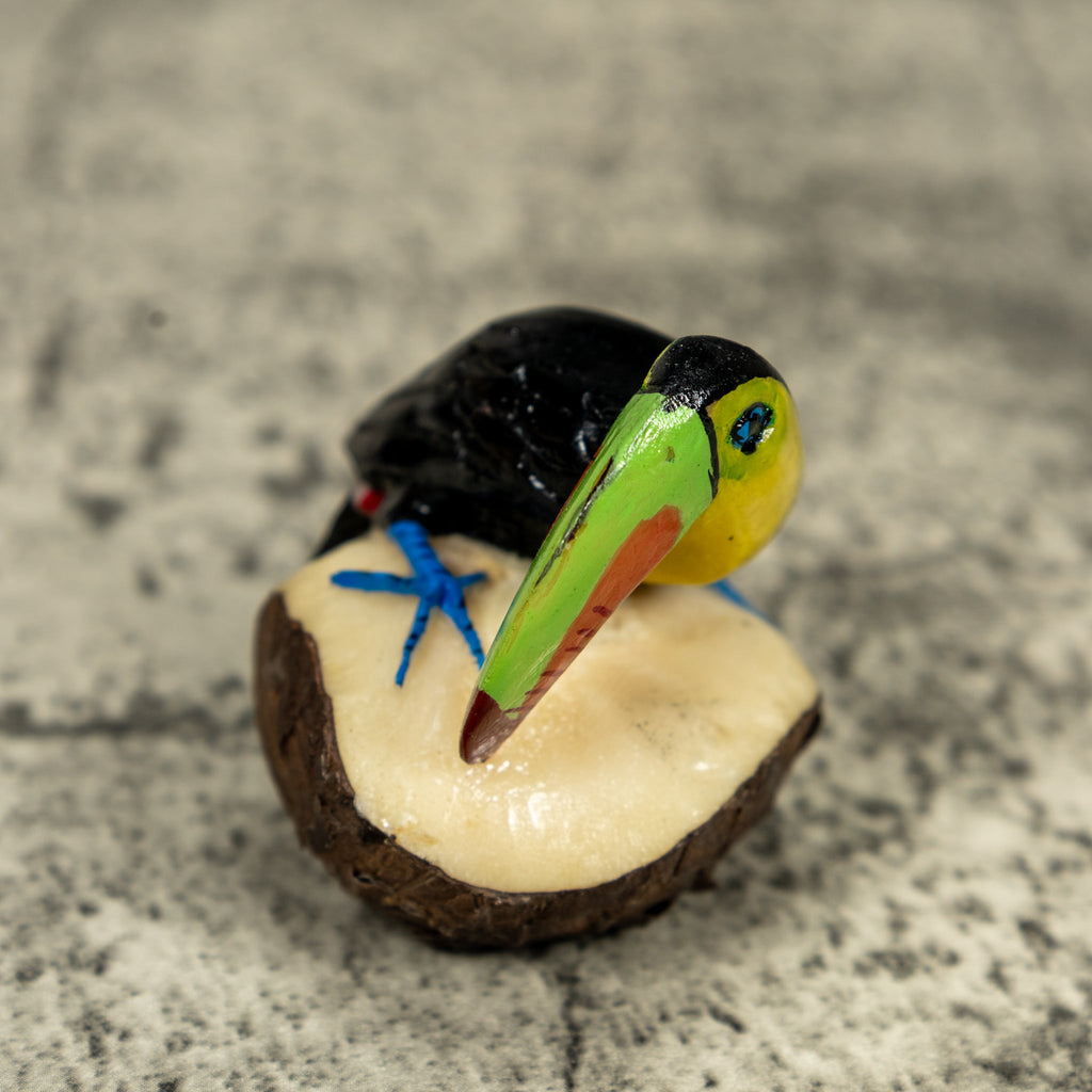 Toucan Parrot Bird Tagua Carving