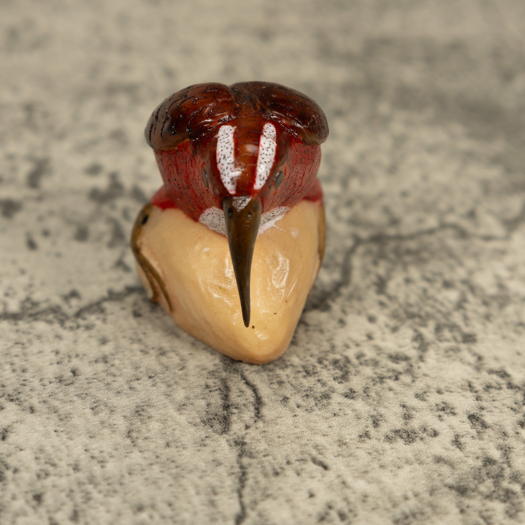 Vintage Red Brown And White Rainforest Bird Tagua Carving