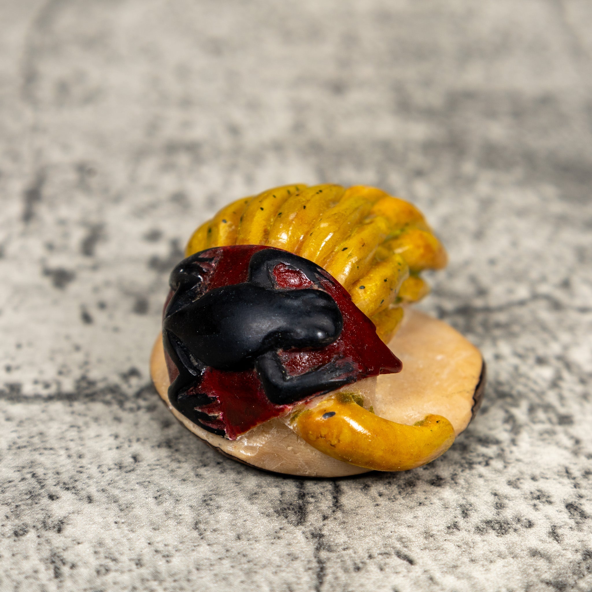 Rare Vintage Banana Stalk With Bug Tagua Carving