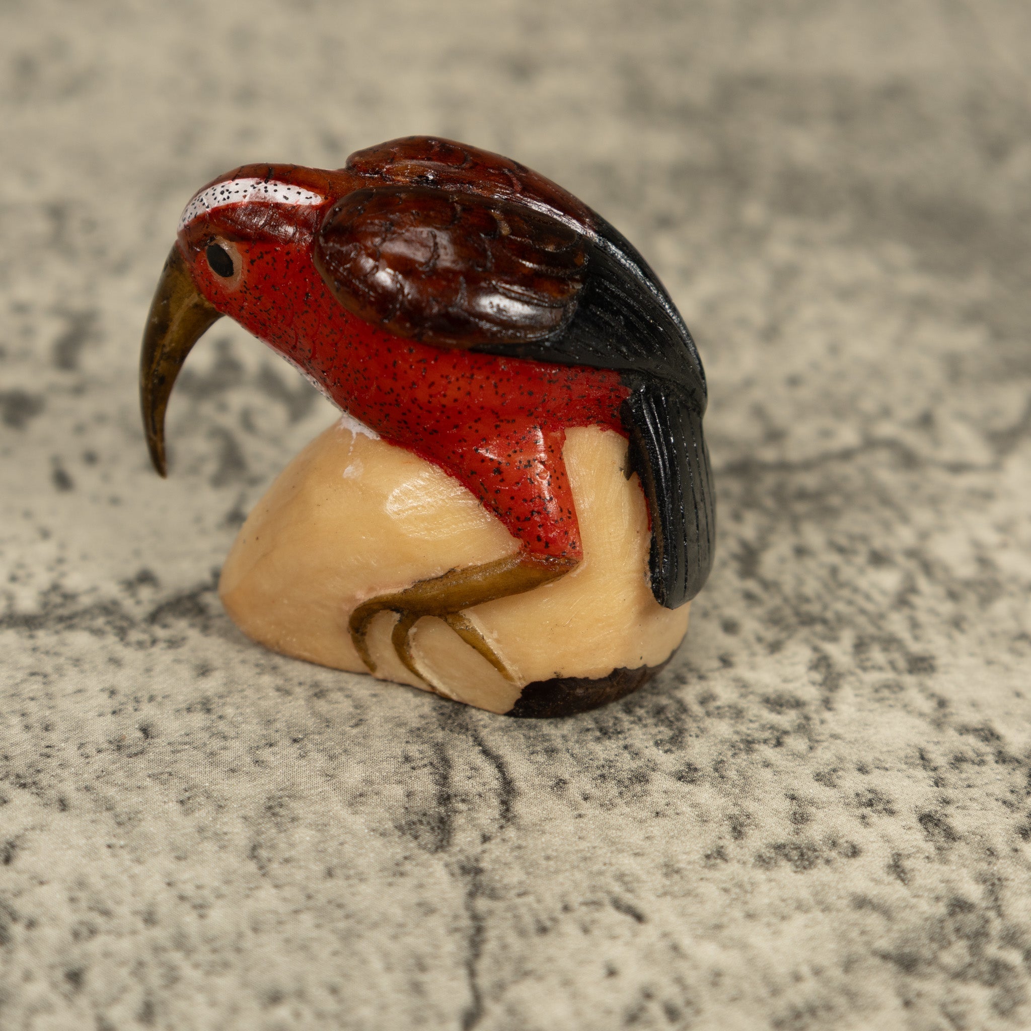 Vintage Red Brown And White Rainforest Bird Tagua Carving