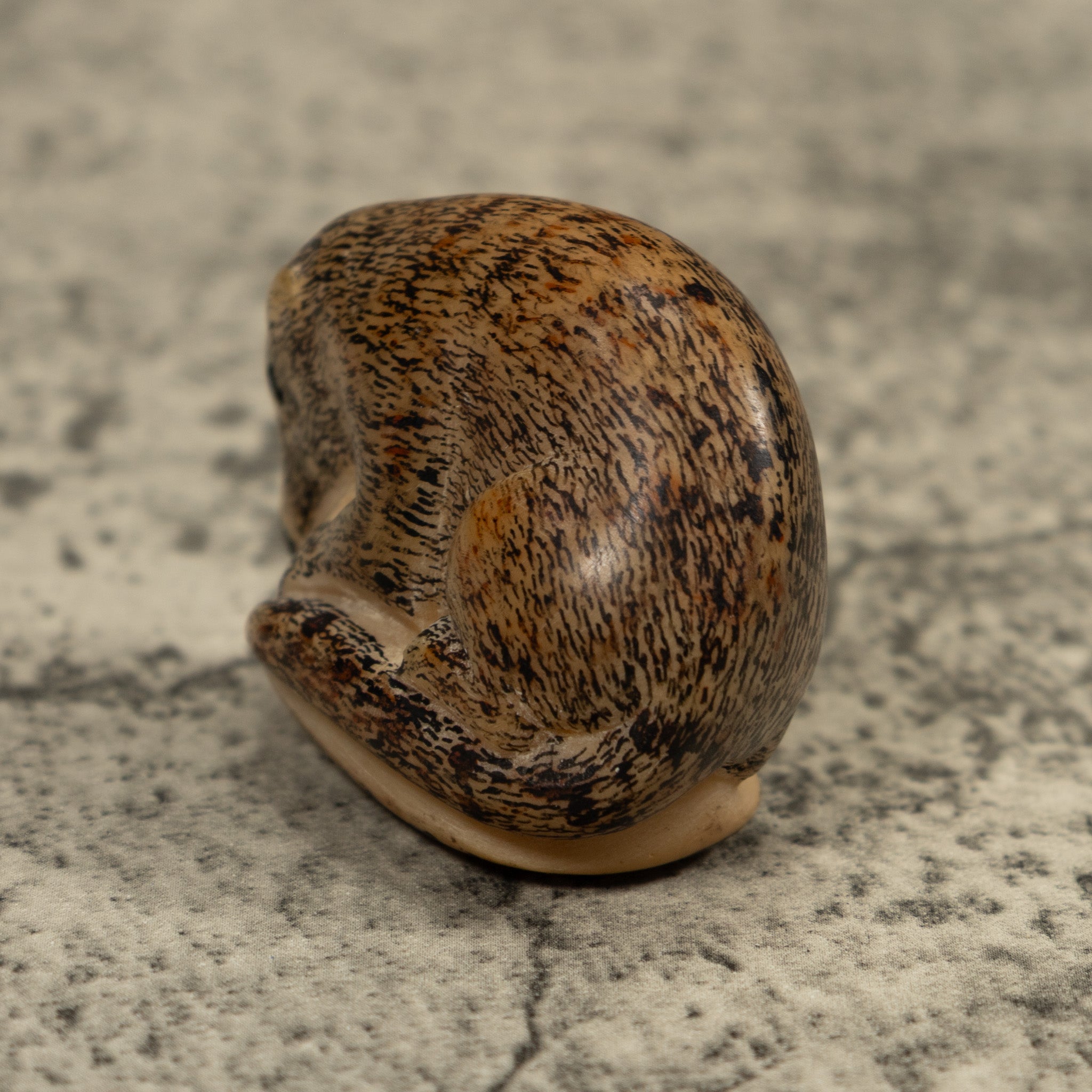 Vintage Coatmundi Tagua Carving