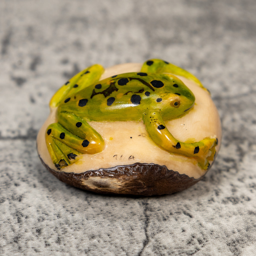 Vintage Green And Black Frog Tagua Carving