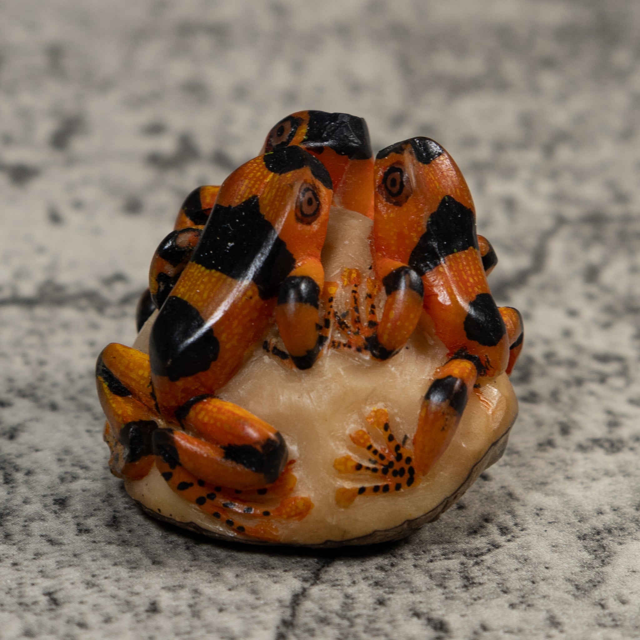 Triple Black And Orange Poison Dart Frog Tagua Carving