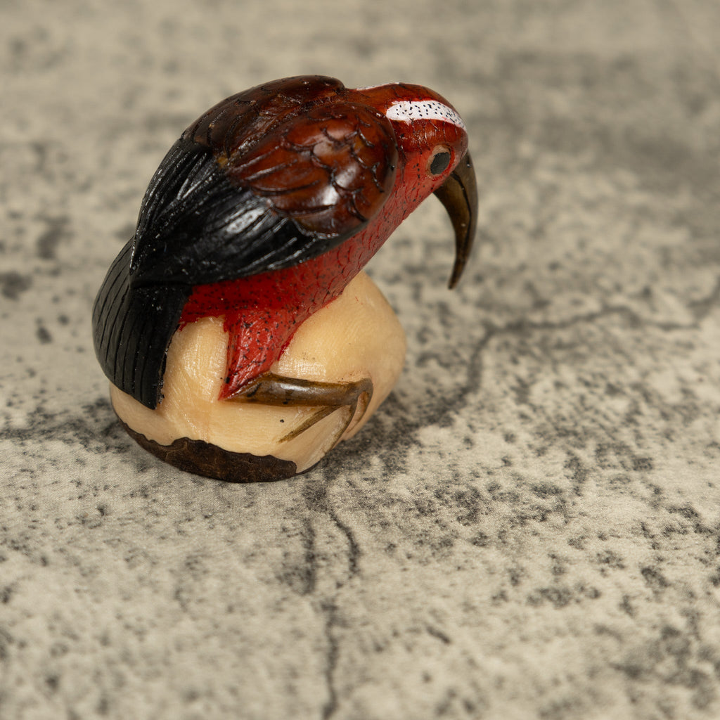 Vintage Red Brown And White Rainforest Bird Tagua Carving