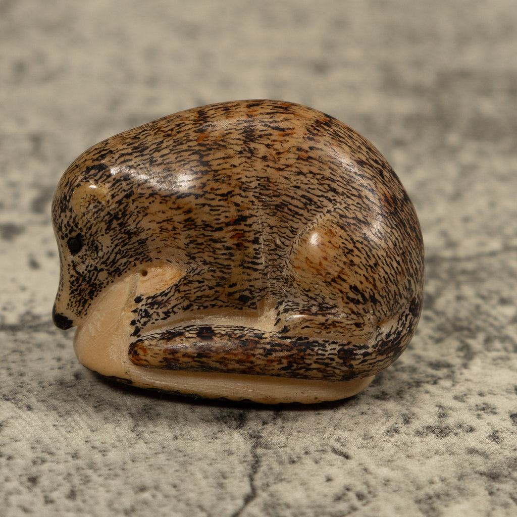 Vintage Coatmundi Tagua Carving