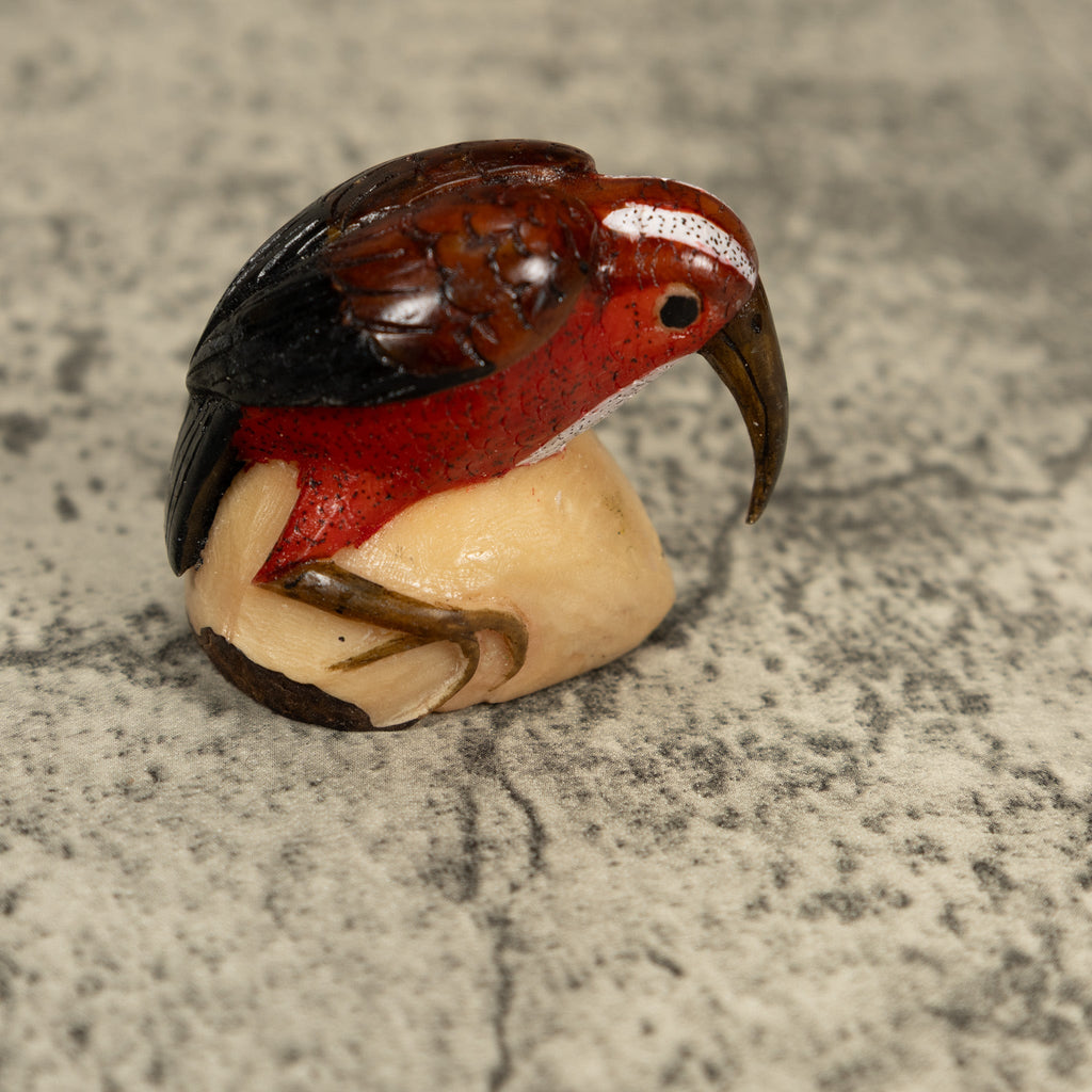 Vintage Red Brown And White Rainforest Bird Tagua Carving