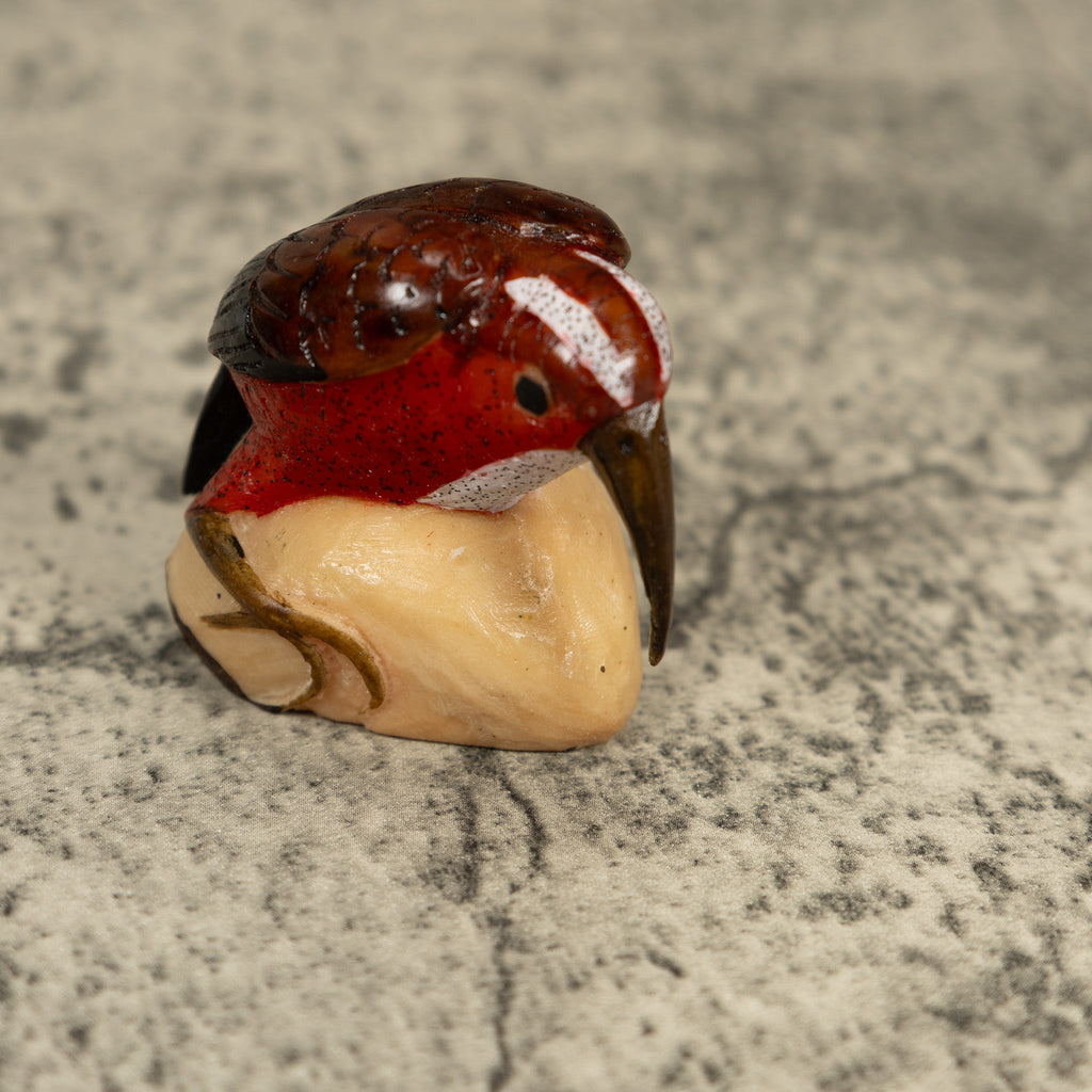 Vintage Red Brown And White Rainforest Bird Tagua Carving