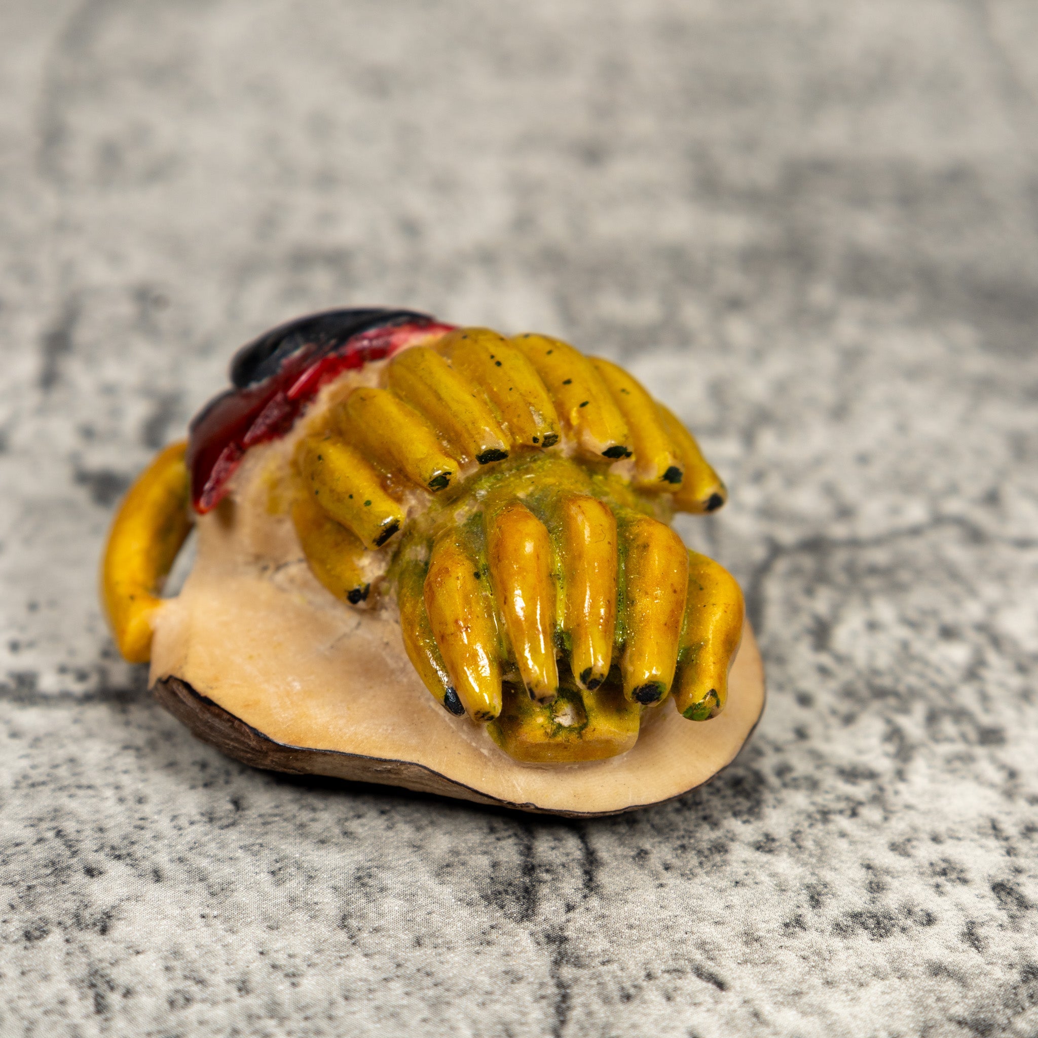 Rare Vintage Banana Stalk With Bug Tagua Carving